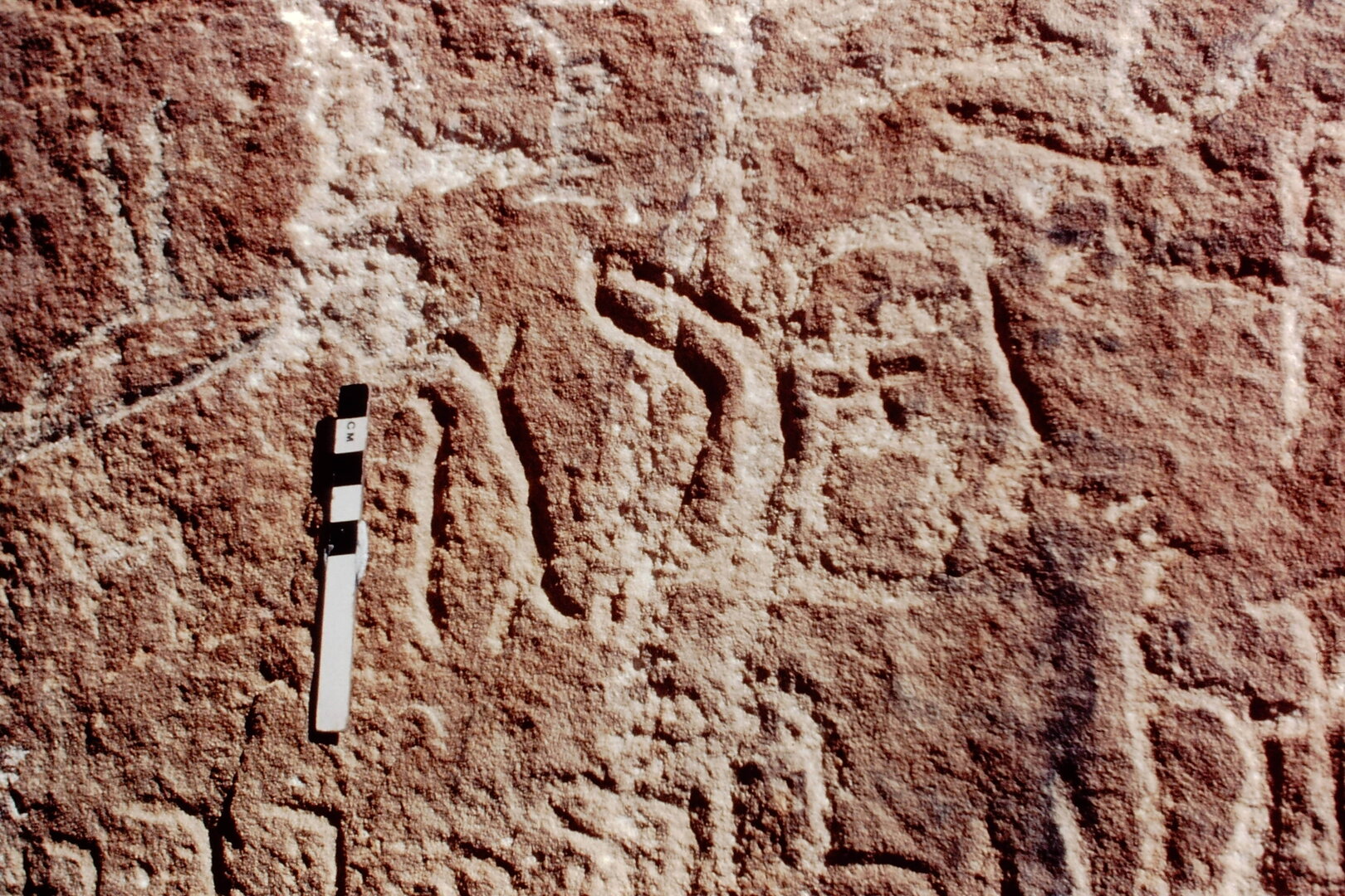 inscription of siglum Jacobson B.3.A.8