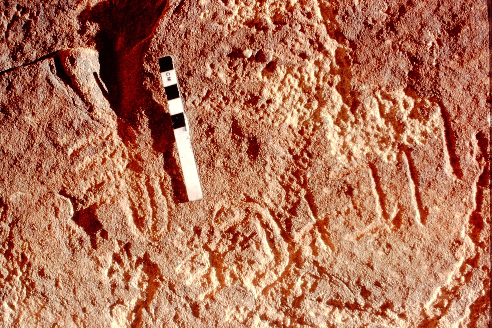 inscription of siglum Jacobson B.3.B.5