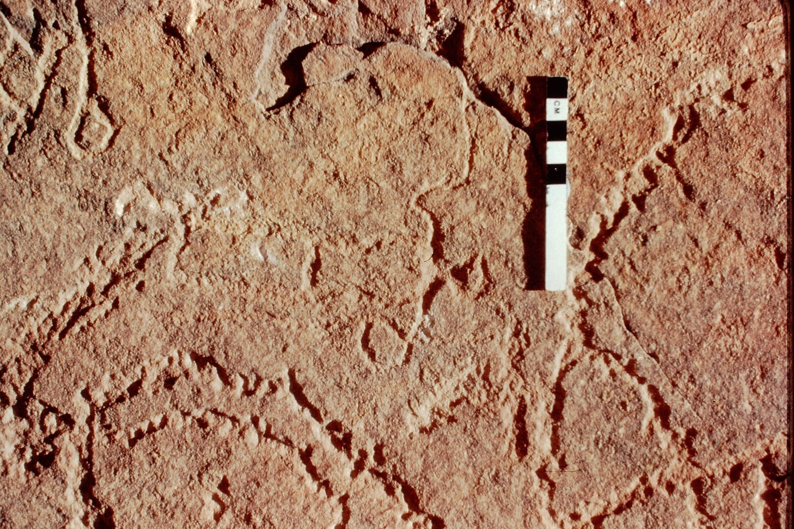 inscription of siglum Jacobson B.3.B.7