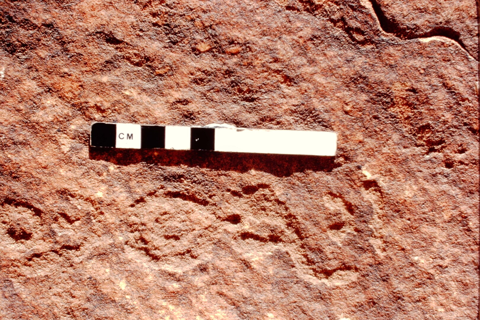 inscription of siglum Jacobson B.3.B.8