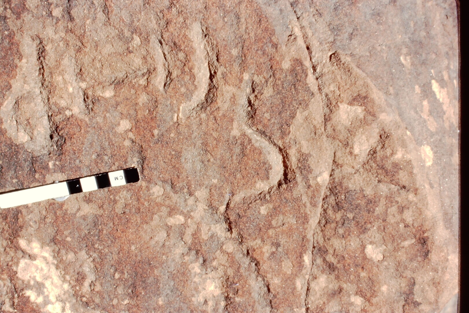 inscription of siglum Jacobson B.3.C.1