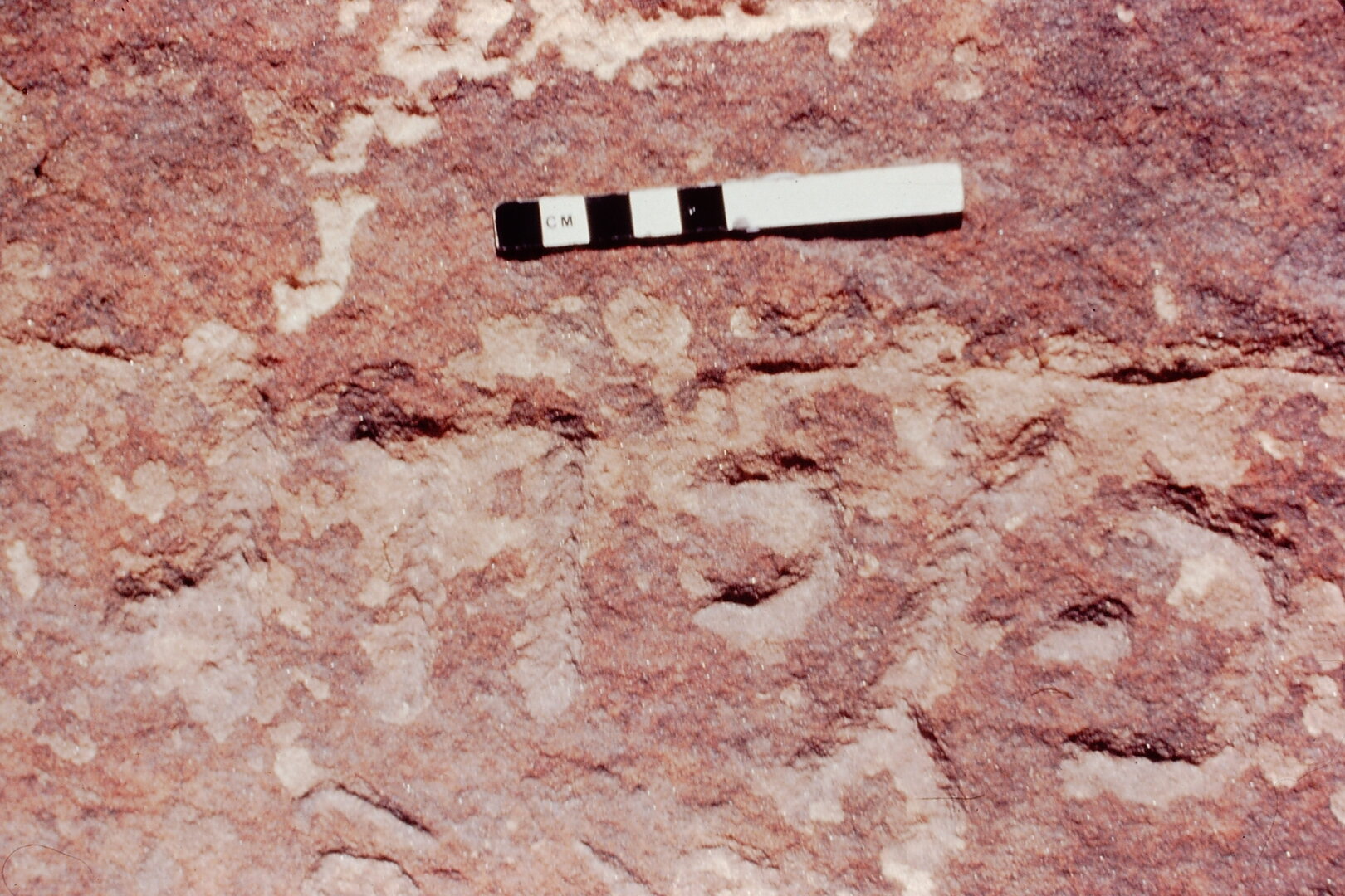 inscription of siglum Jacobson B.3.C.2
