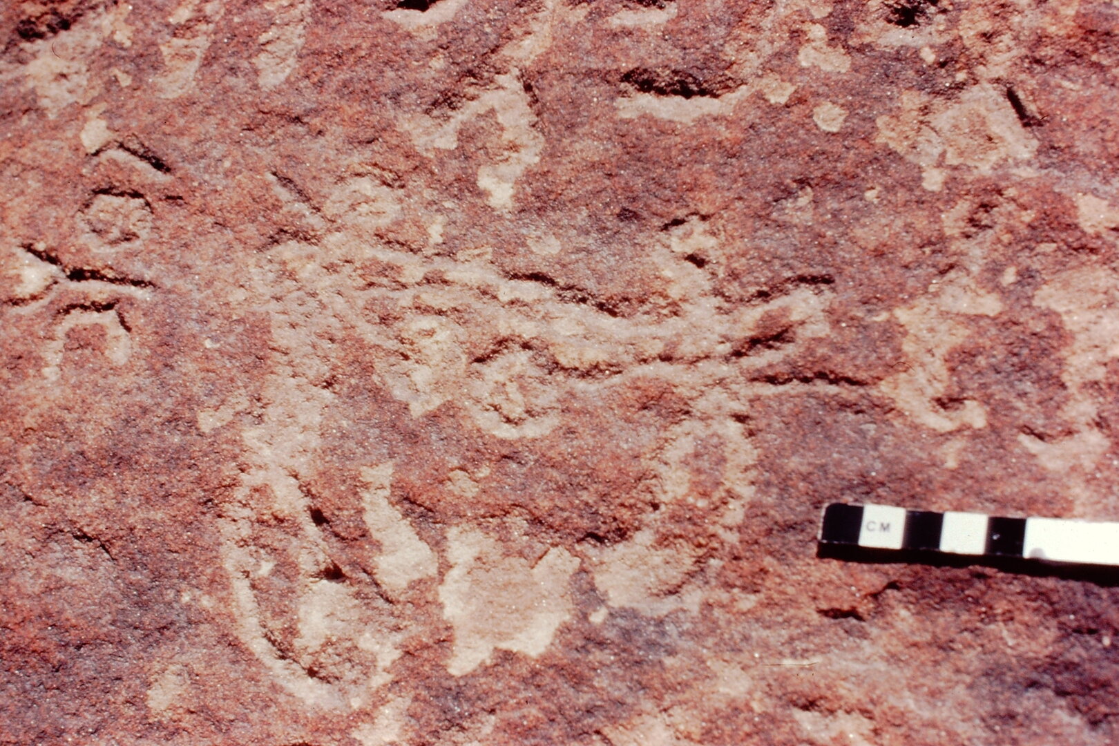 inscription of siglum Jacobson B.3.C.3