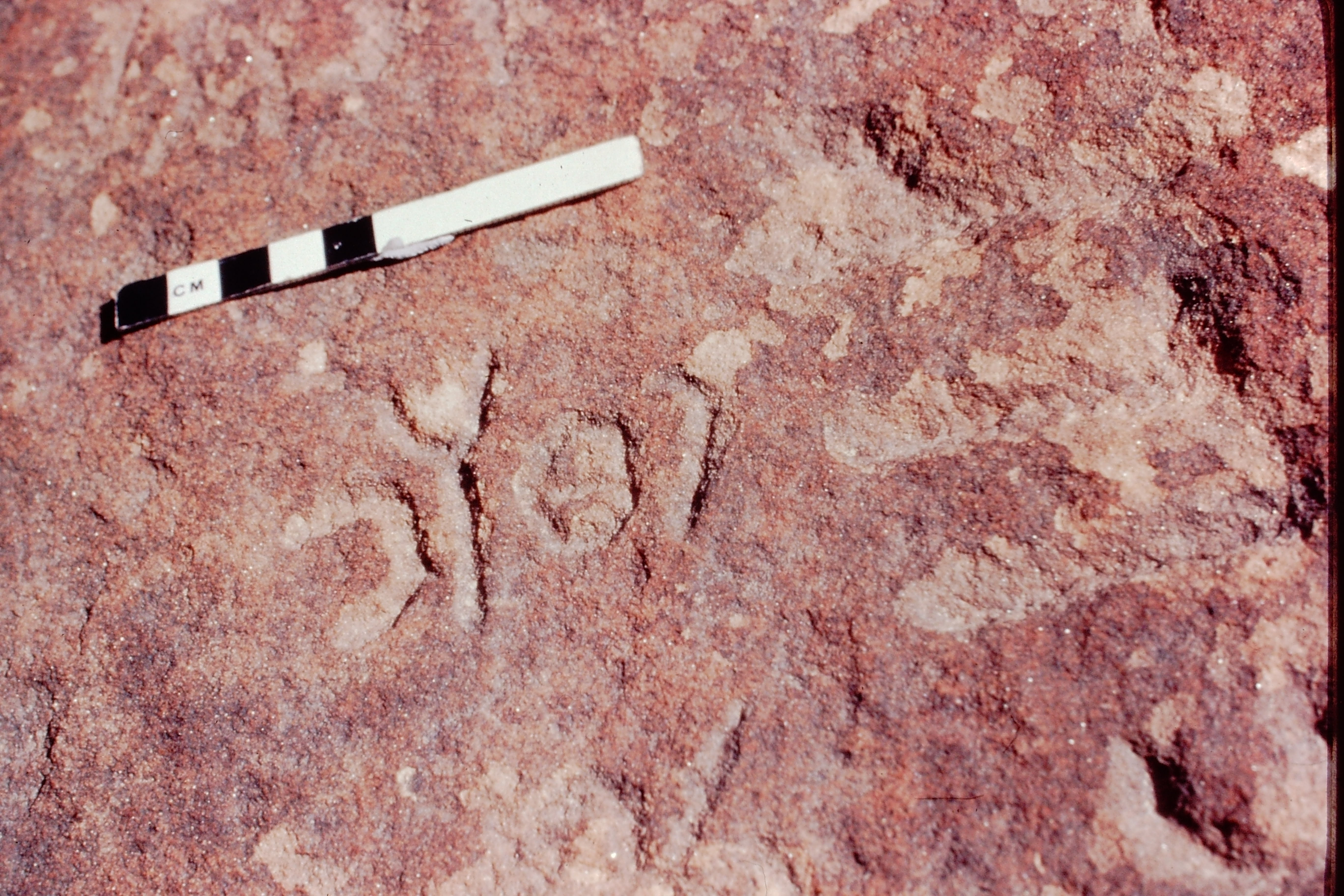 inscription of siglum Jacobson B.3.C.3