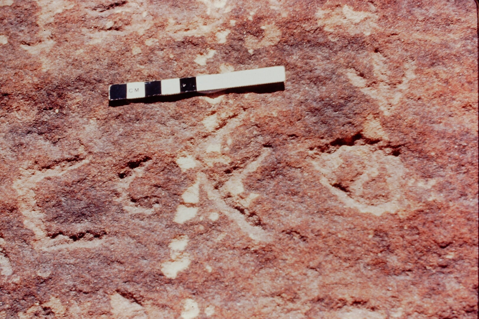 inscription of siglum Jacobson B.3.C.4