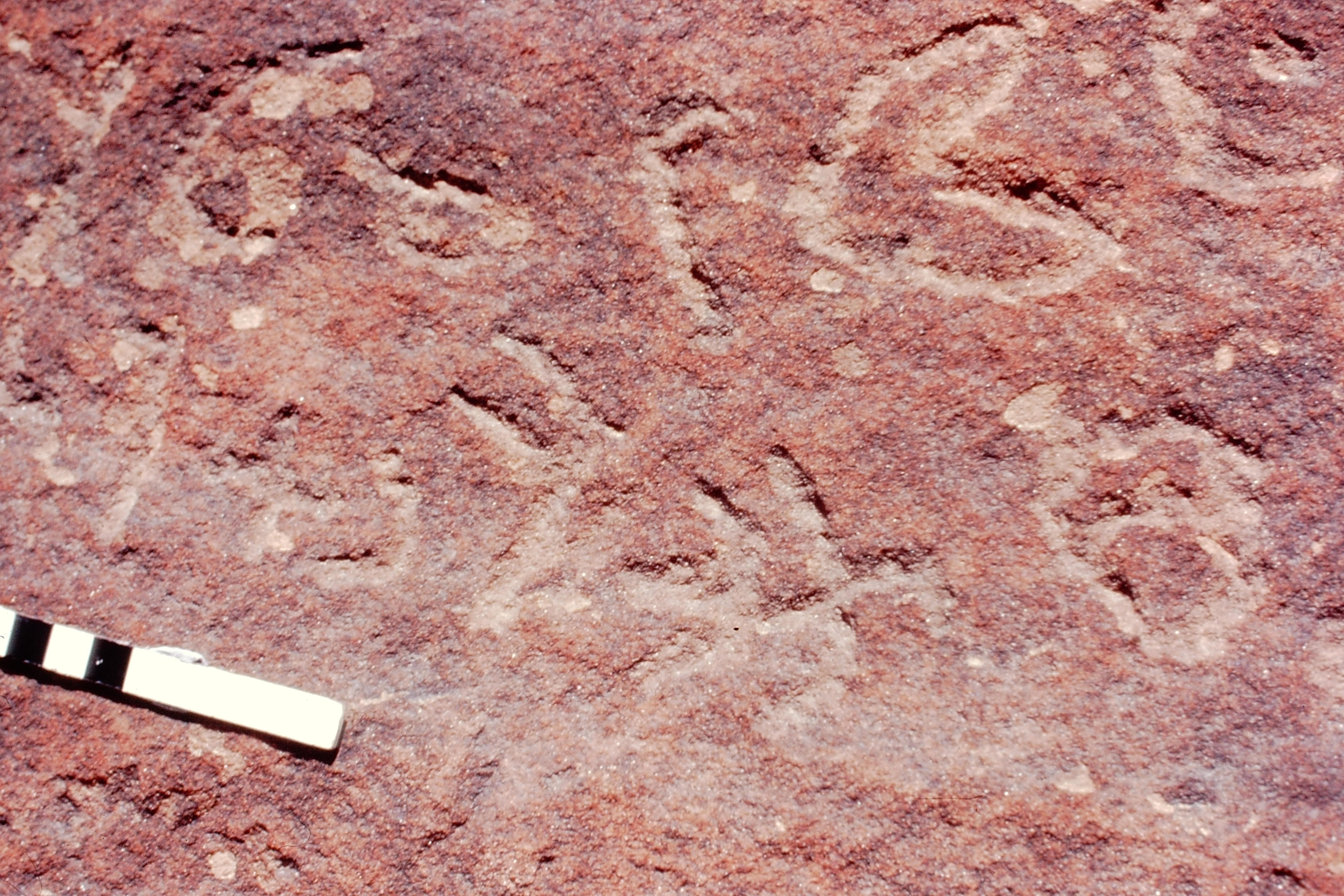 inscription of siglum Jacobson B.3.C.4