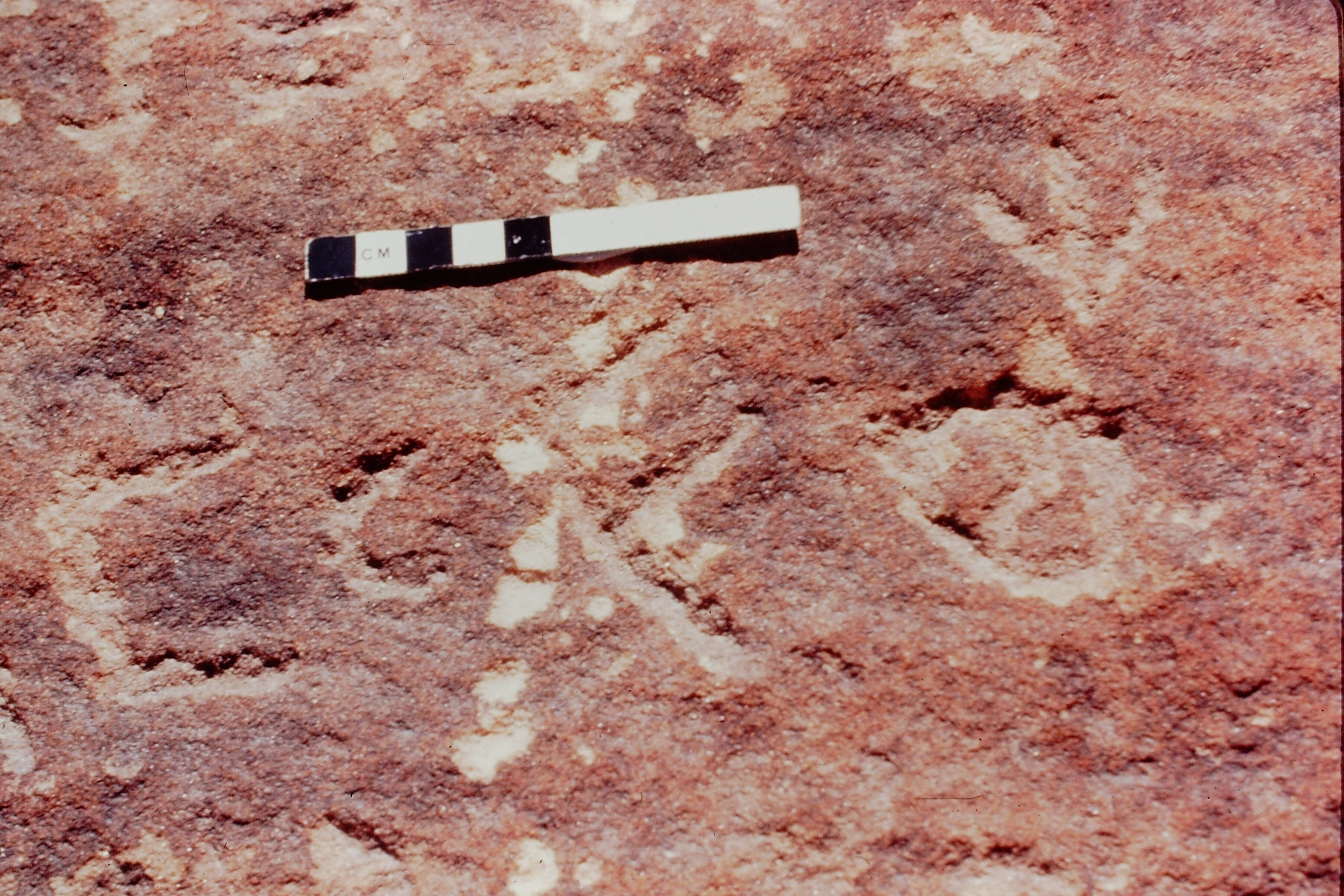 inscription of siglum Jacobson B.3.C.4