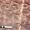 inscription of siglum Jacobson B.3.C.4