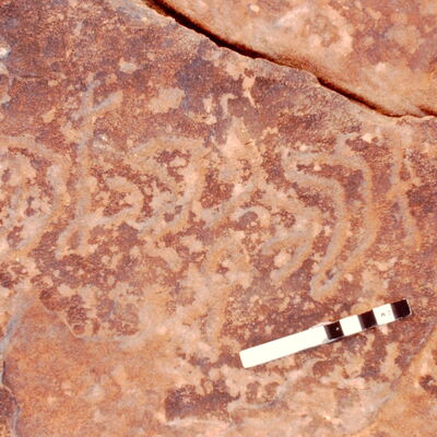 inscription of siglum Jacobson B.3.D.1
