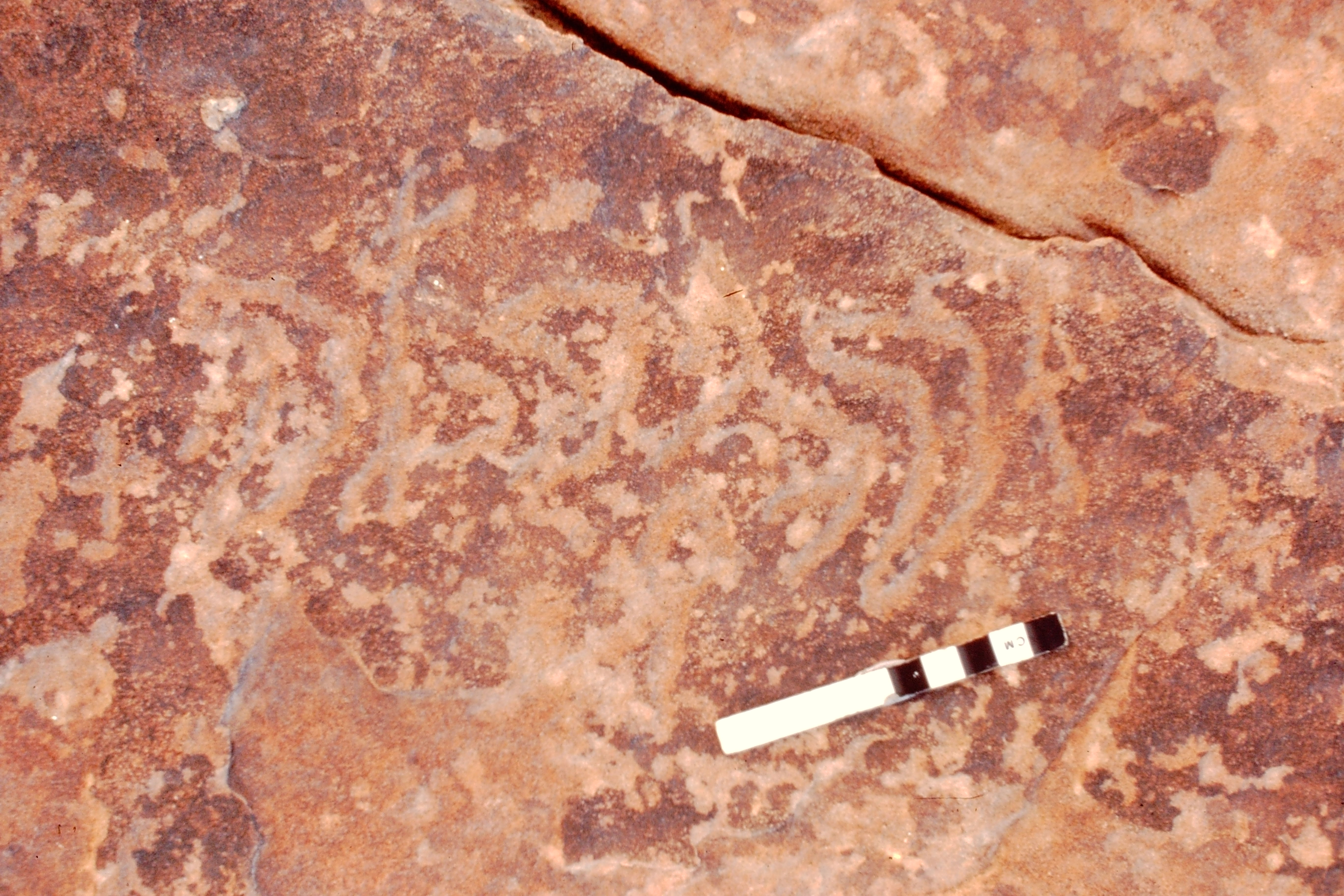 inscription of siglum Jacobson B.3.D.1
