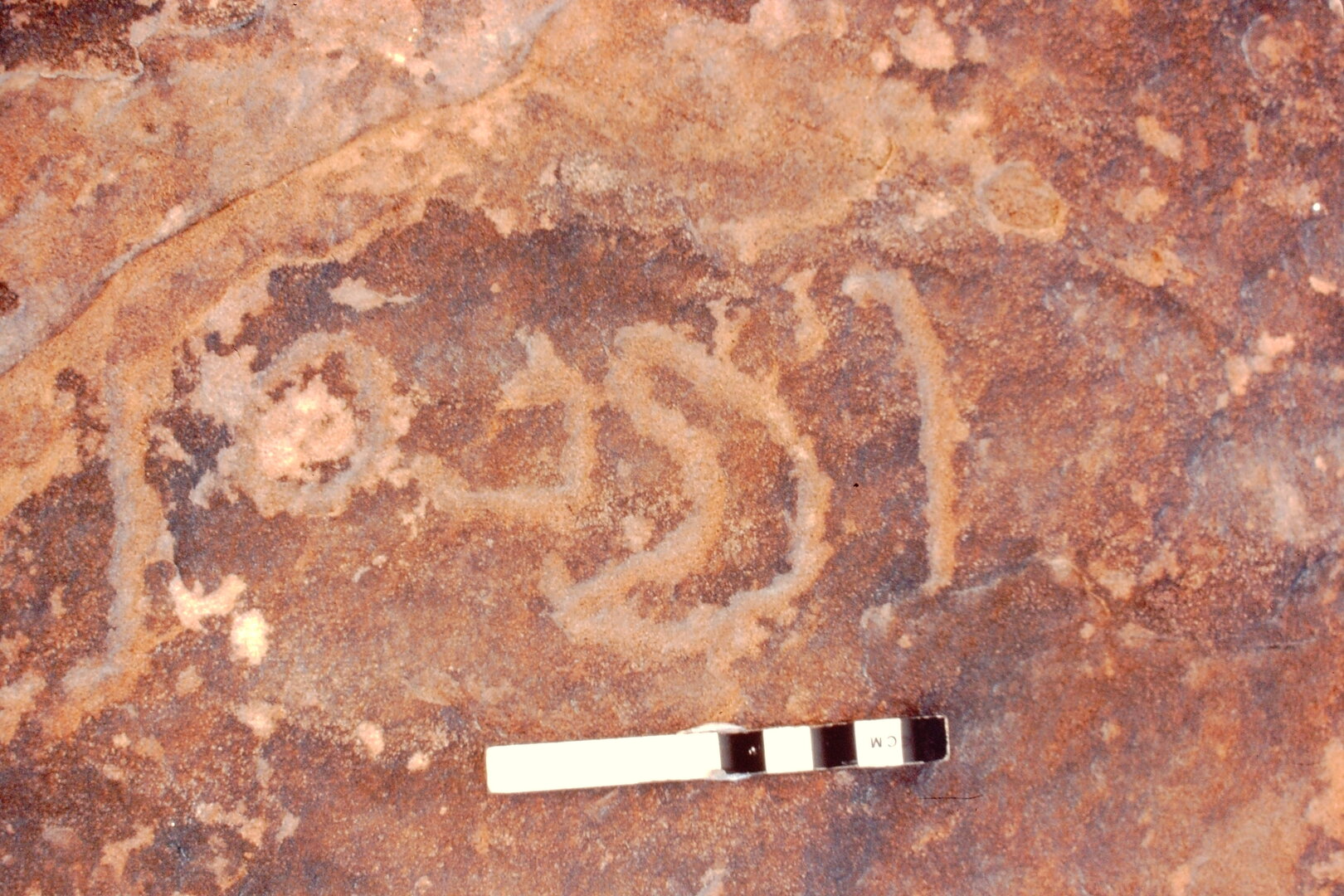 inscription of siglum Jacobson B.3.D.2