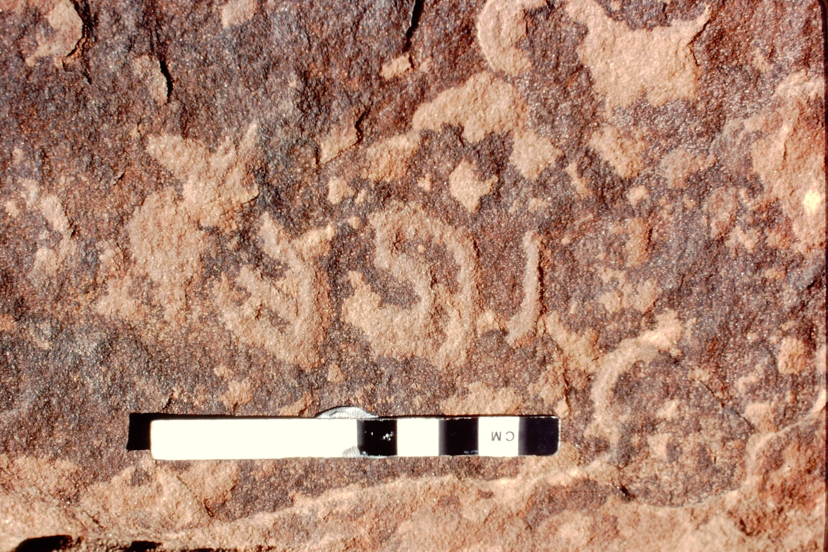 inscription of siglum Jacobson B.3.D.6