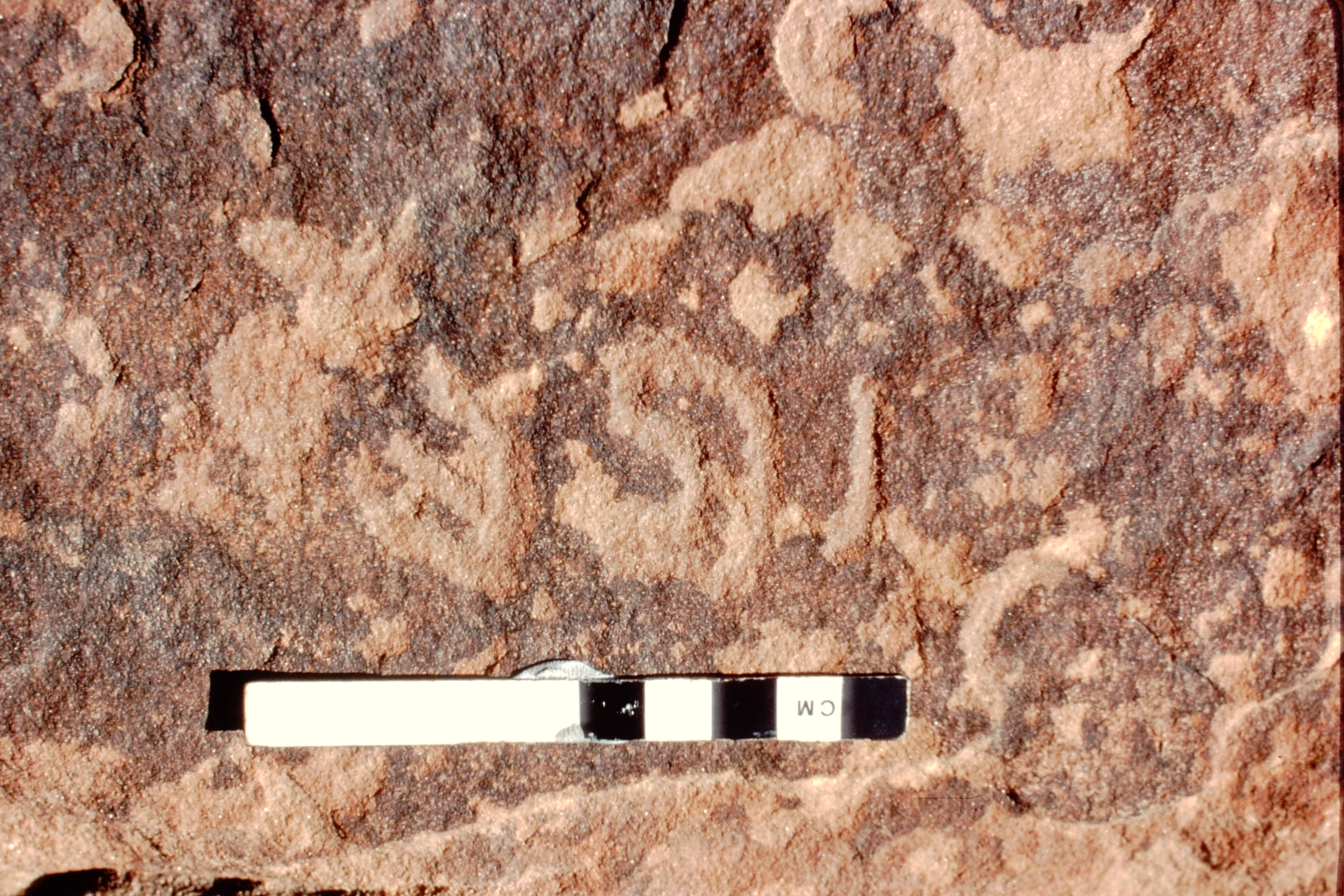 inscription of siglum Jacobson B.3.D.6