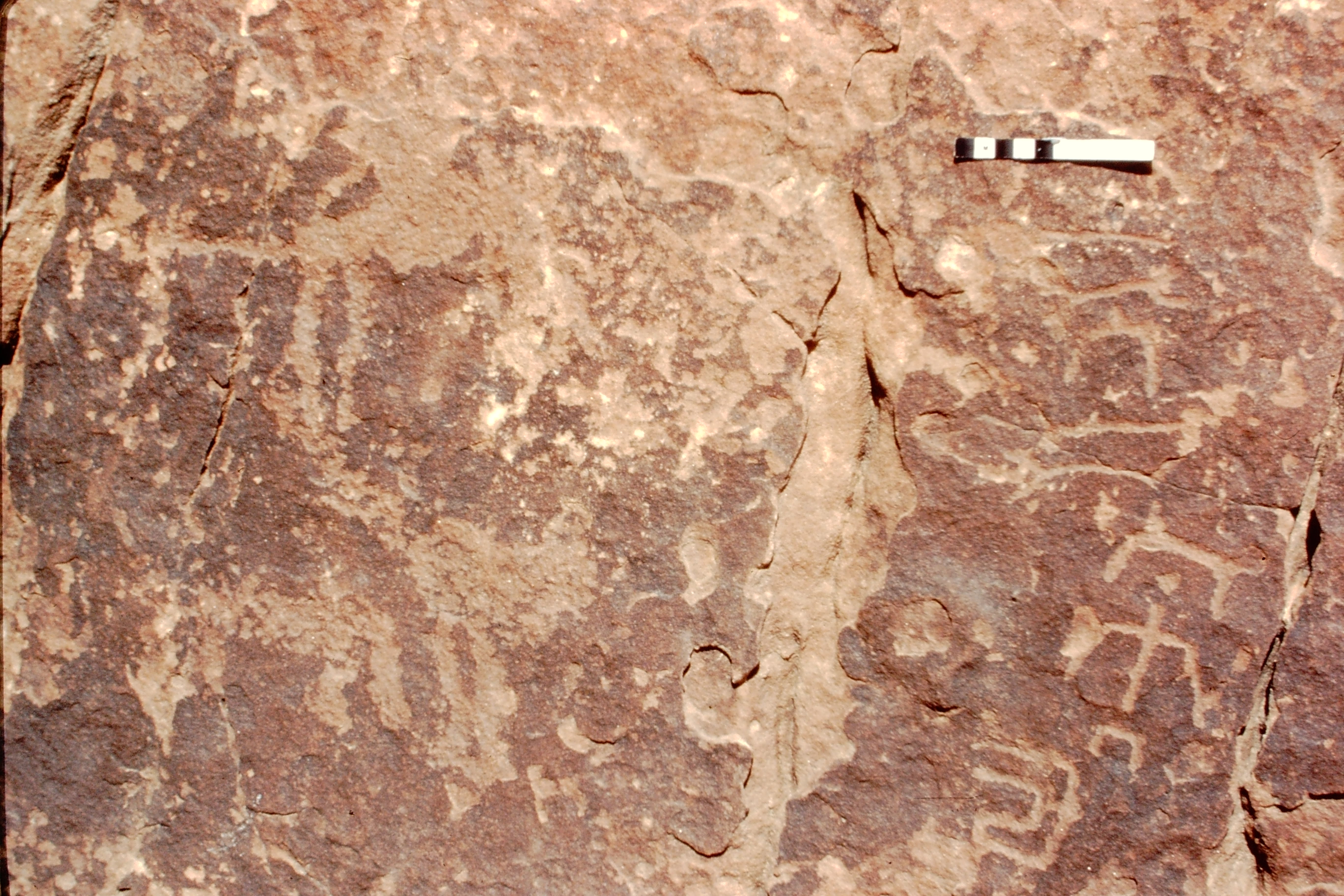 inscription of siglum Jacobson B.3.D.7