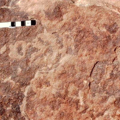 inscription of siglum Jacobson B.3.D.8