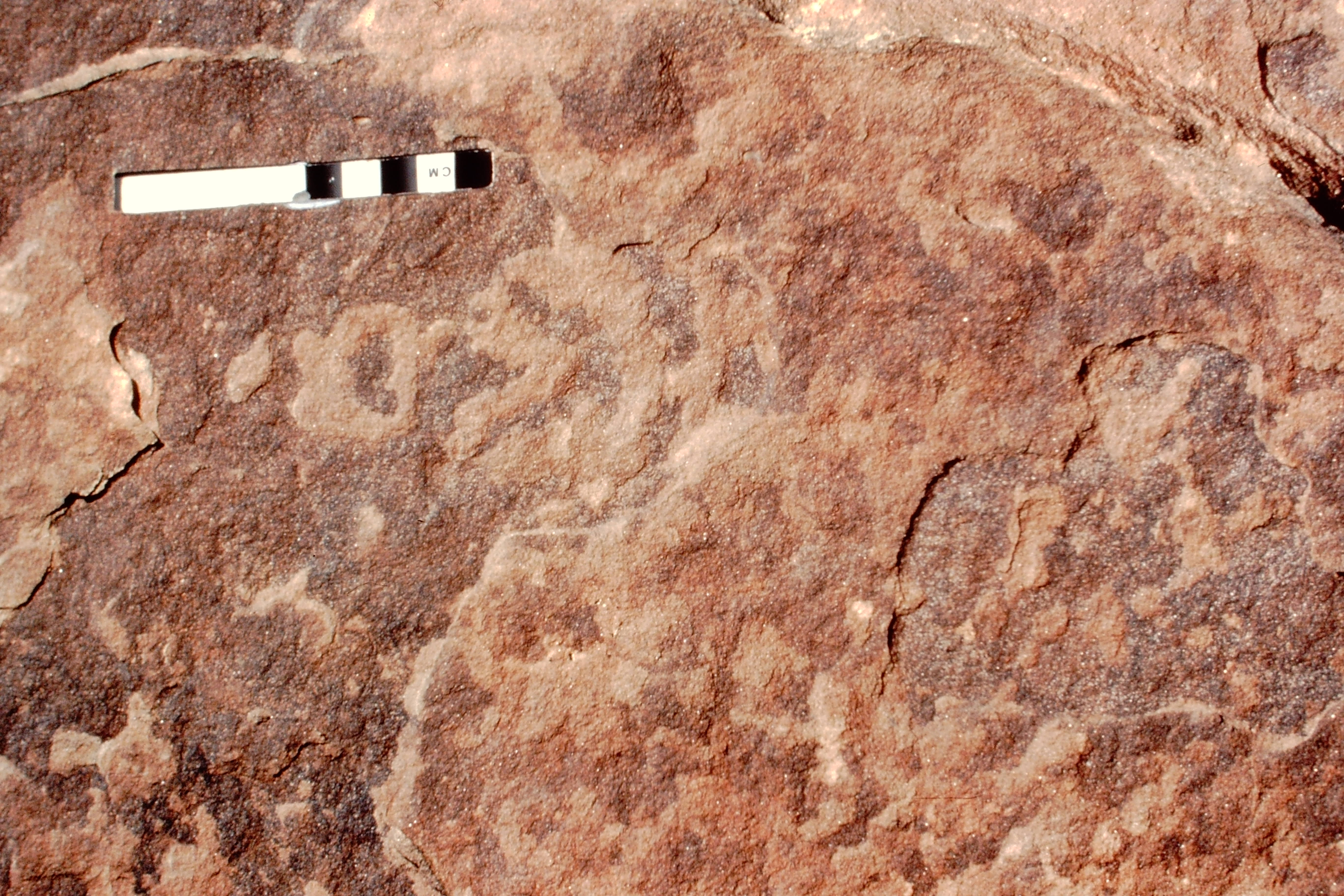 inscription of siglum Jacobson B.3.D.8