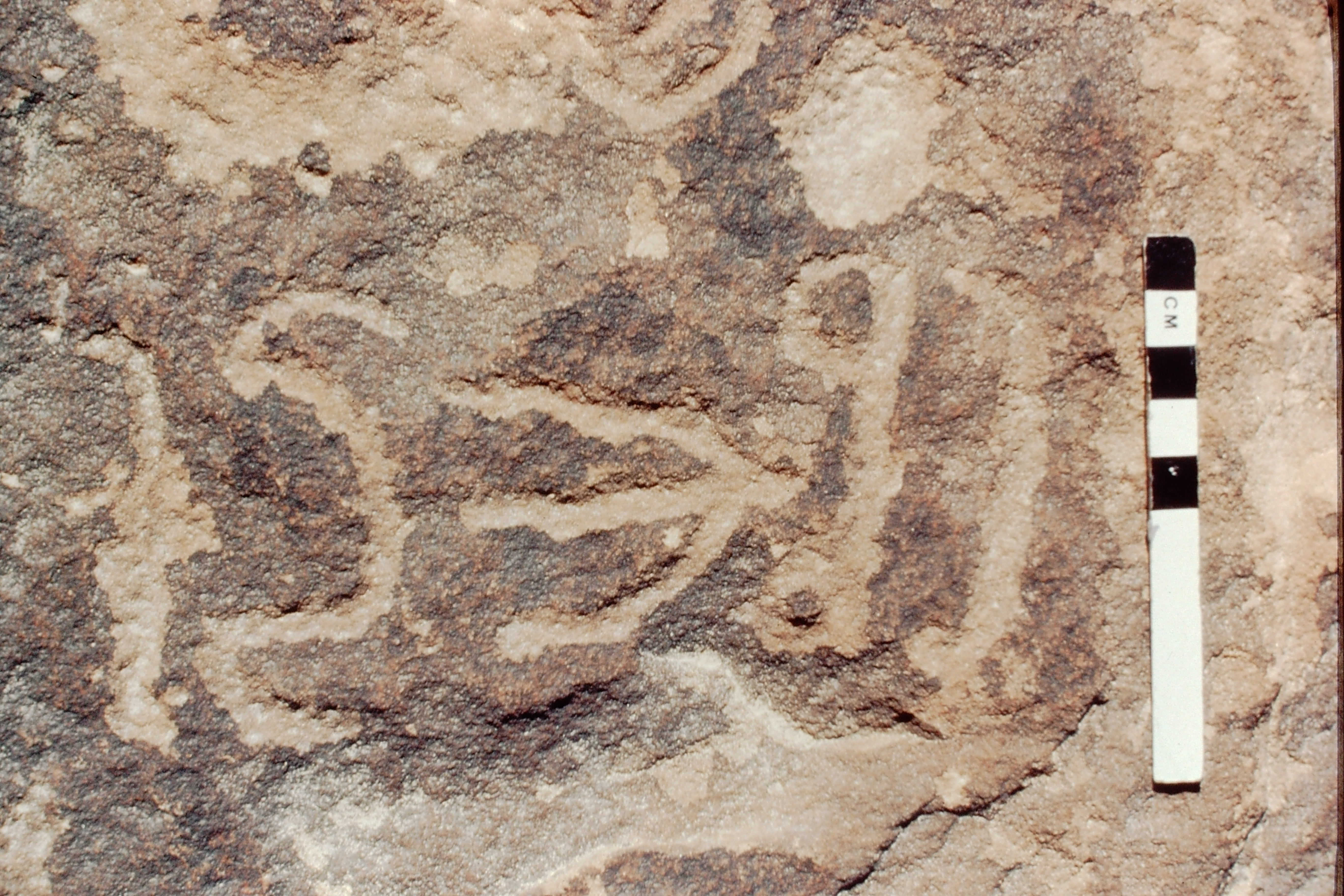 inscription of siglum Jacobson B.3.E.5