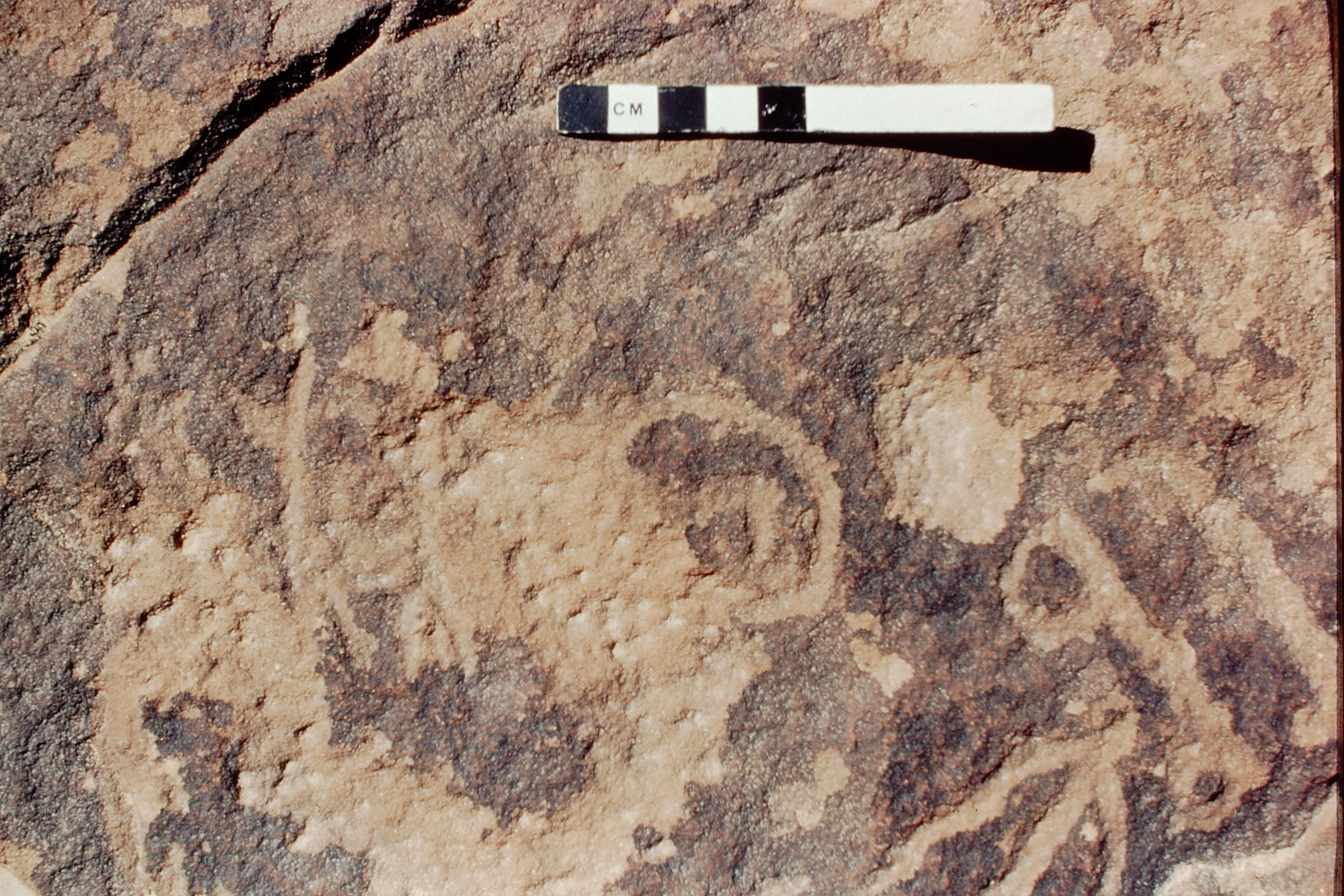 inscription of siglum Jacobson B.3.E.6