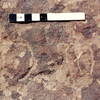 inscription of siglum Jacobson B.3.E.9