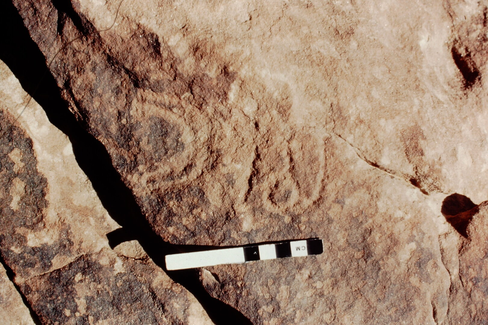 inscription of siglum Jacobson B.4.1