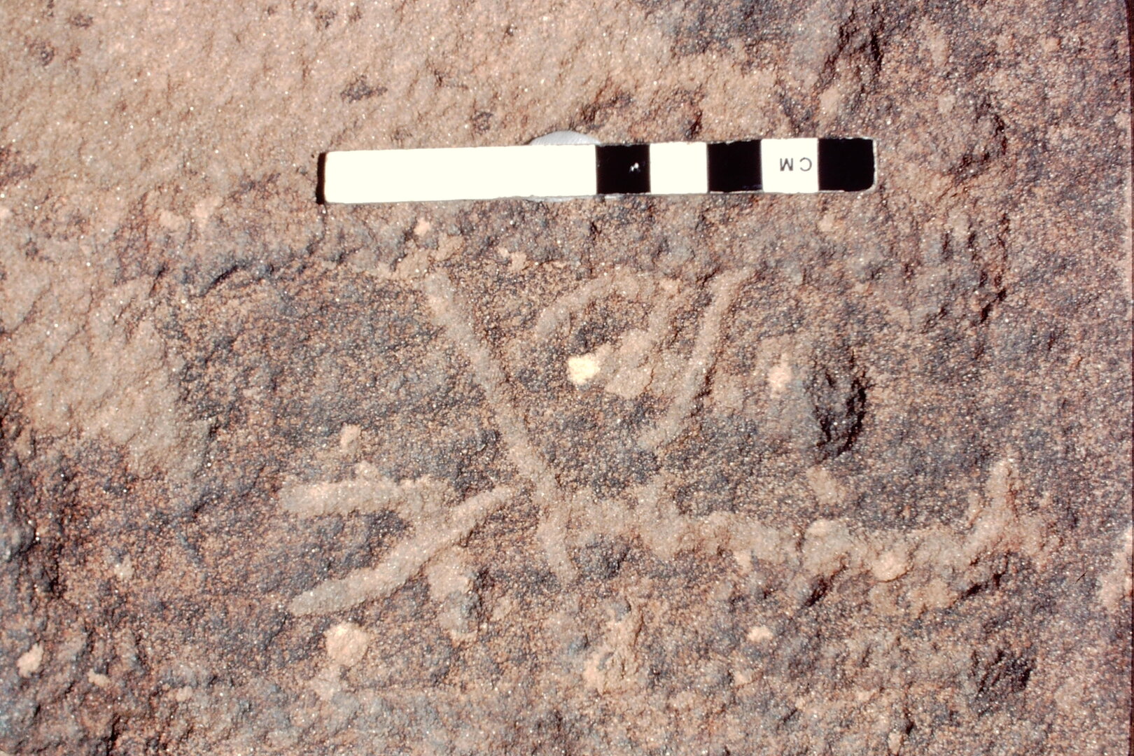 inscription of siglum Jacobson B.4.8