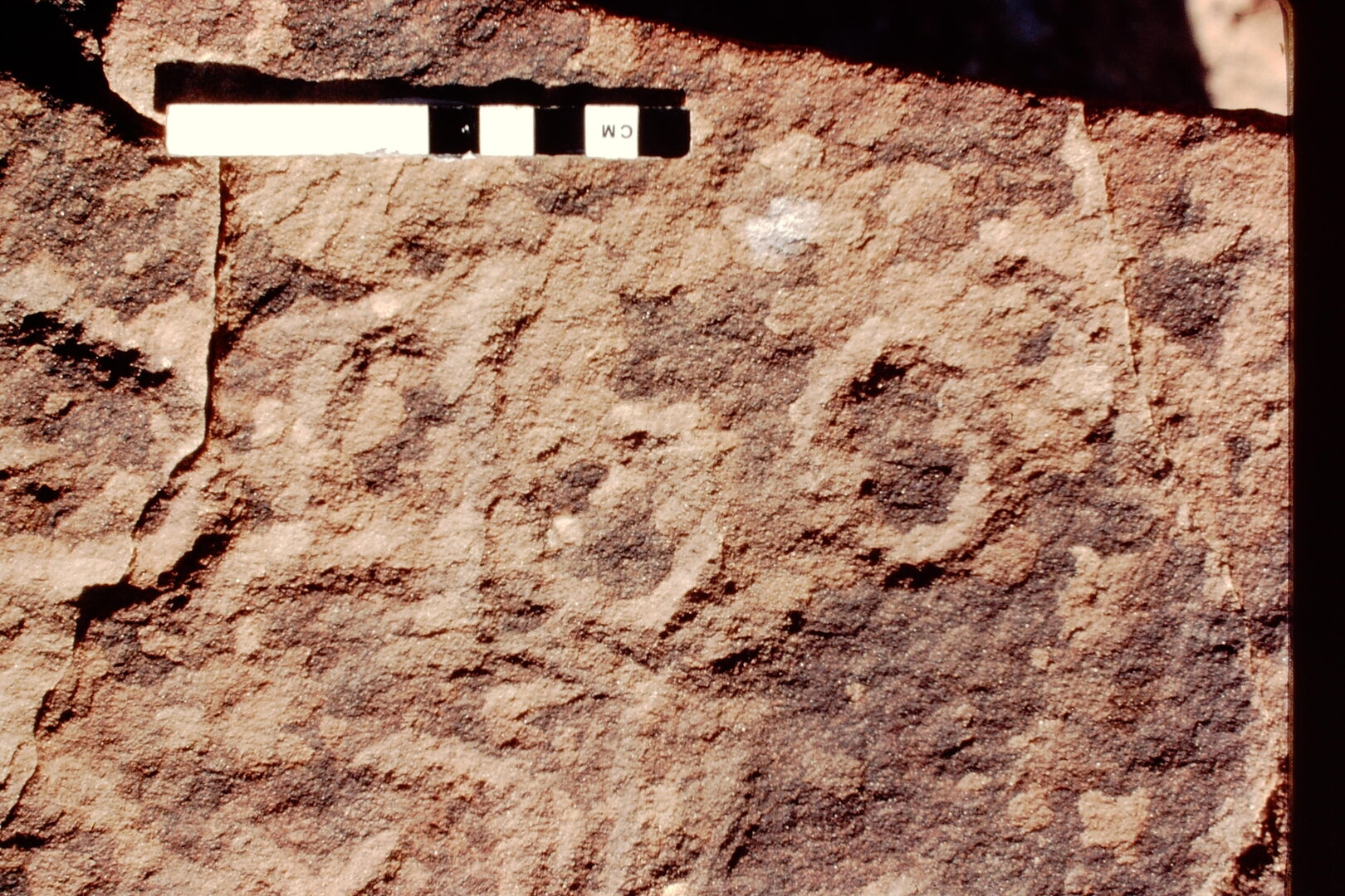 inscription of siglum Jacobson B.5.1
