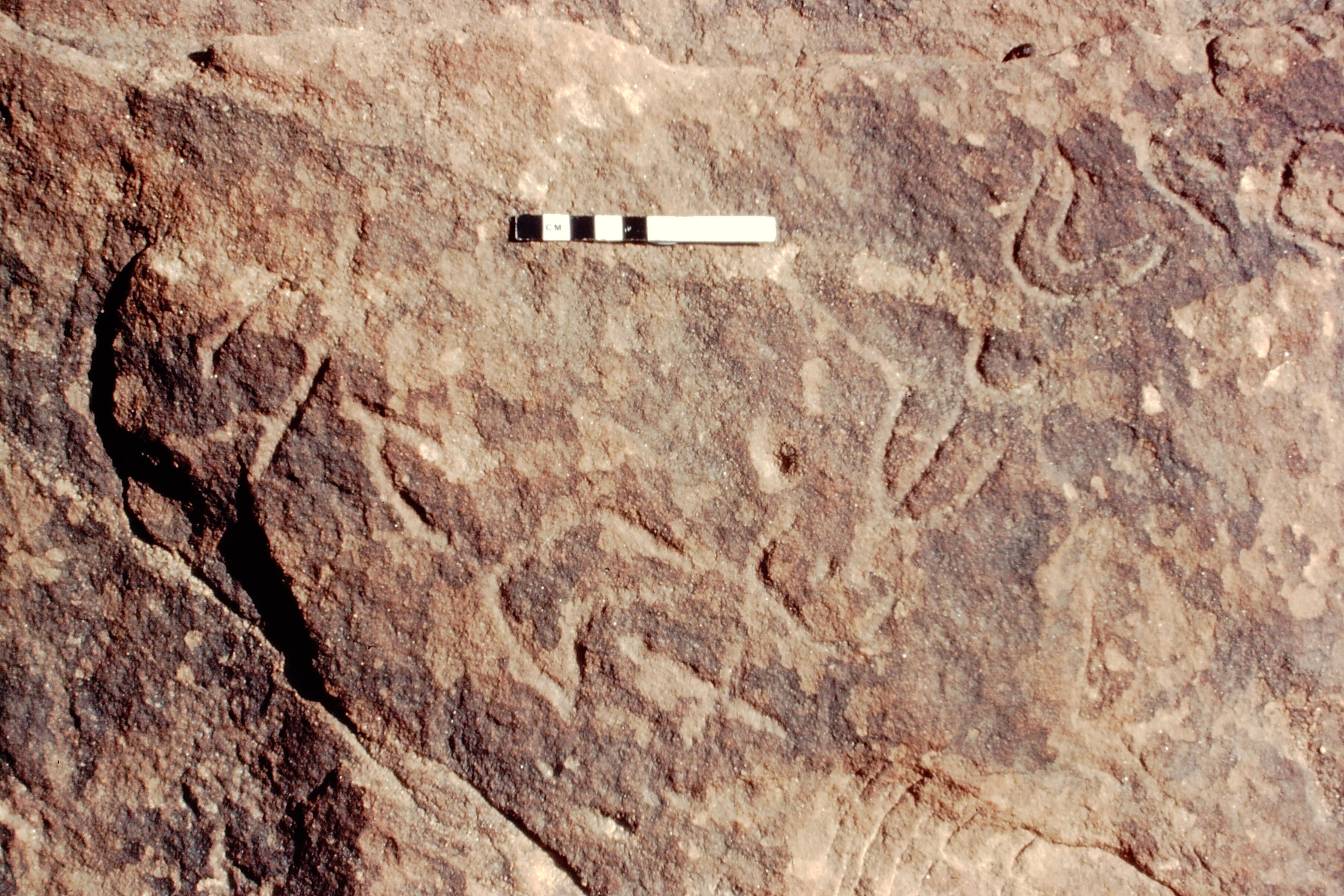 inscription of siglum Jacobson B.5.11