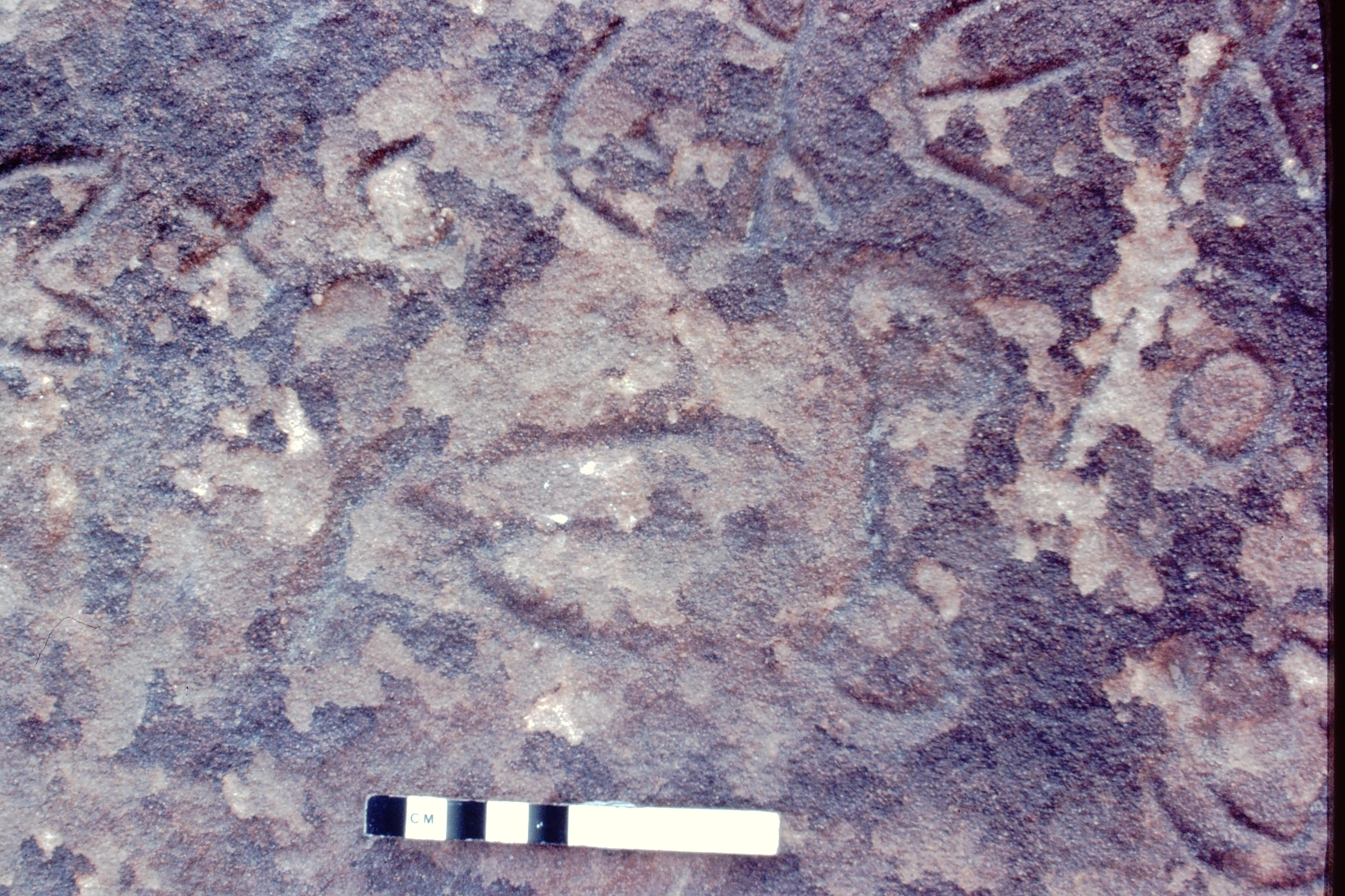 inscription of siglum Jacobson B.5.12 b