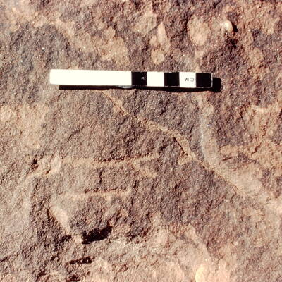 inscription of siglum Jacobson B.5.14