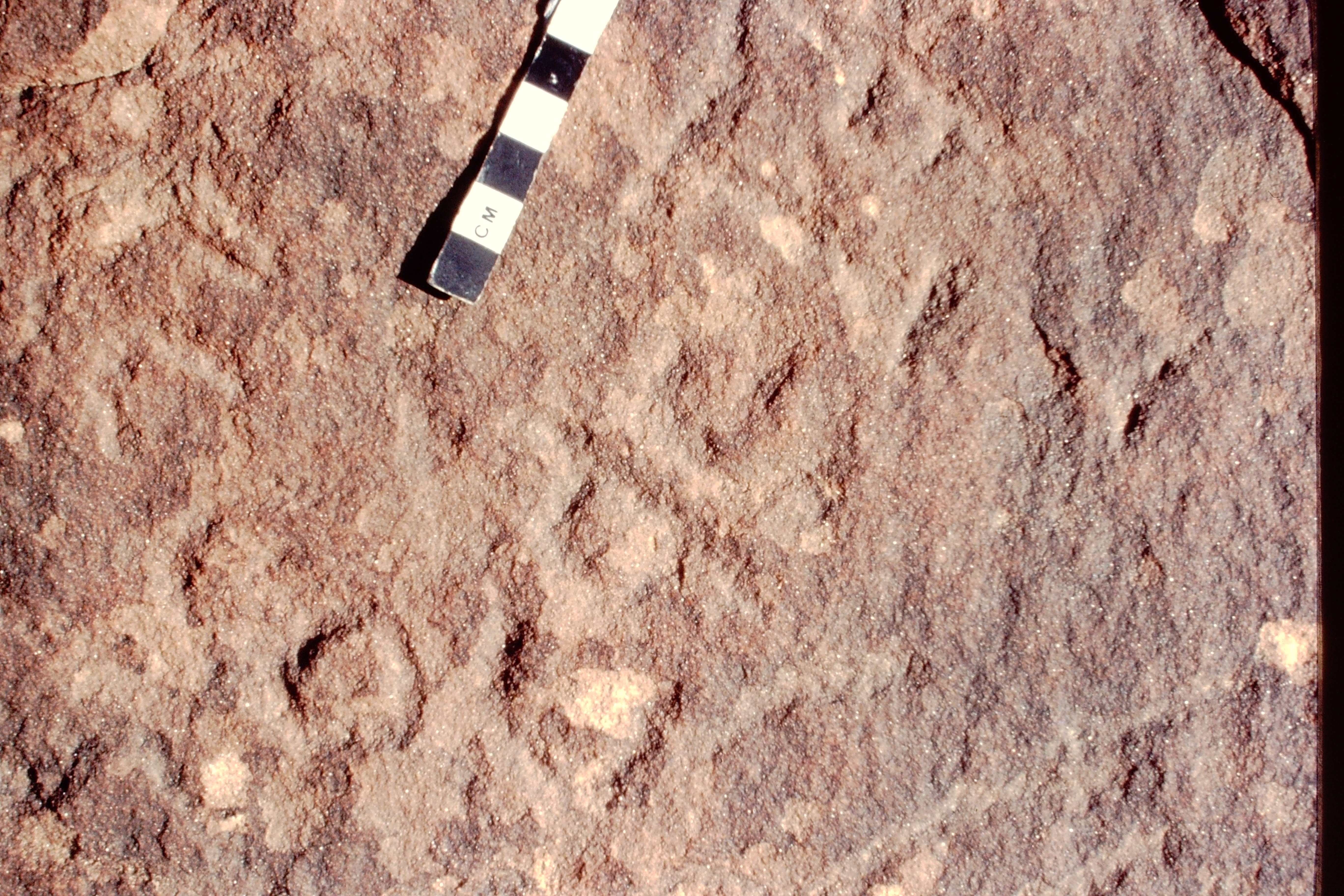 inscription of siglum Jacobson B.5.14