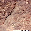 inscription of siglum Jacobson B.5.14
