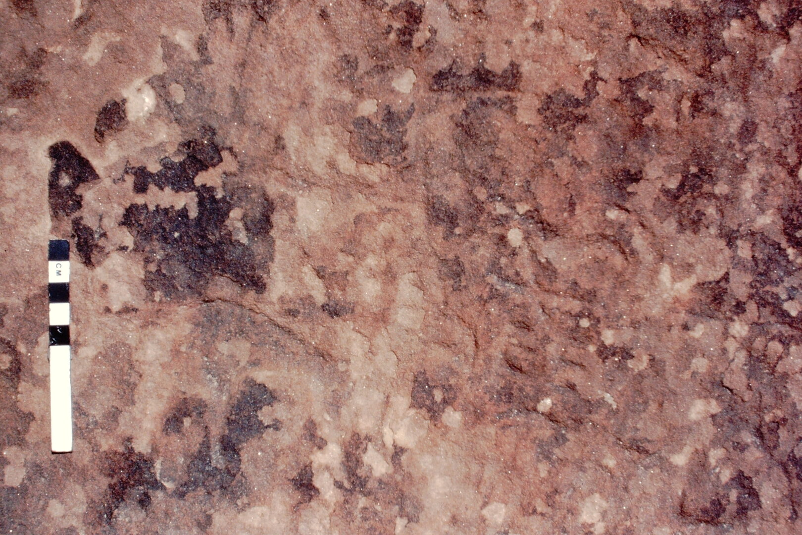 inscription of siglum Jacobson B.5.4