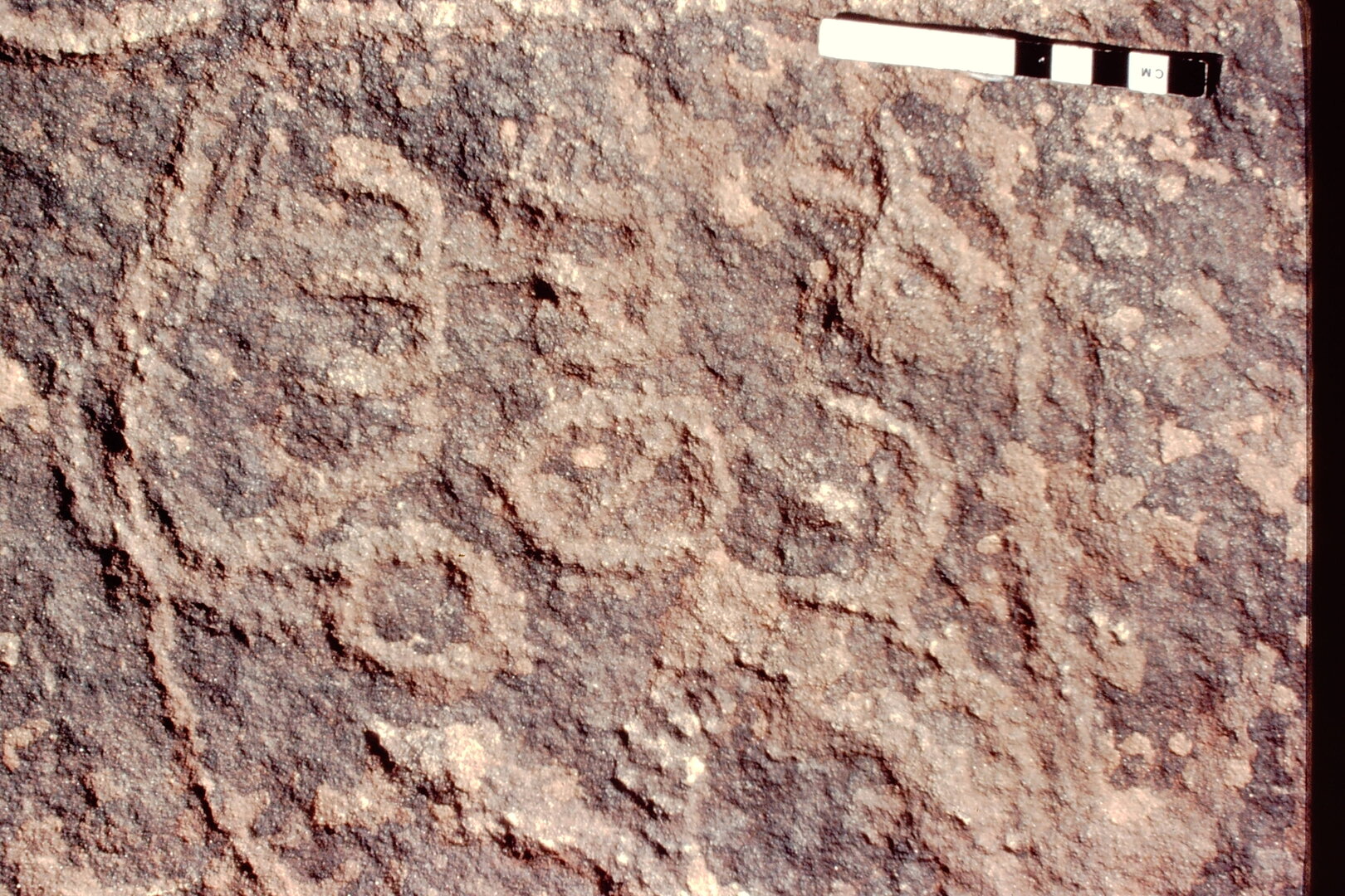 inscription of siglum Jacobson B.5.8 a