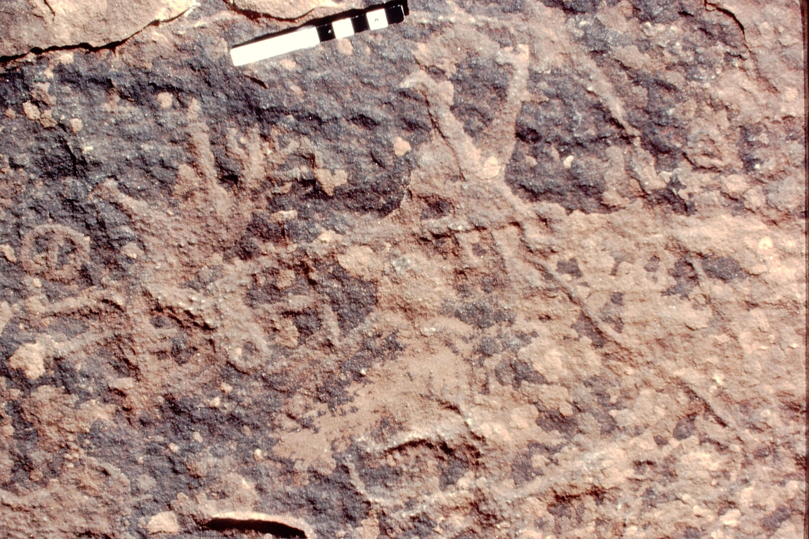 inscription of siglum Jacobson B.5.8 b