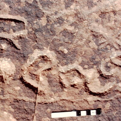 inscription of siglum Jacobson B.5.9