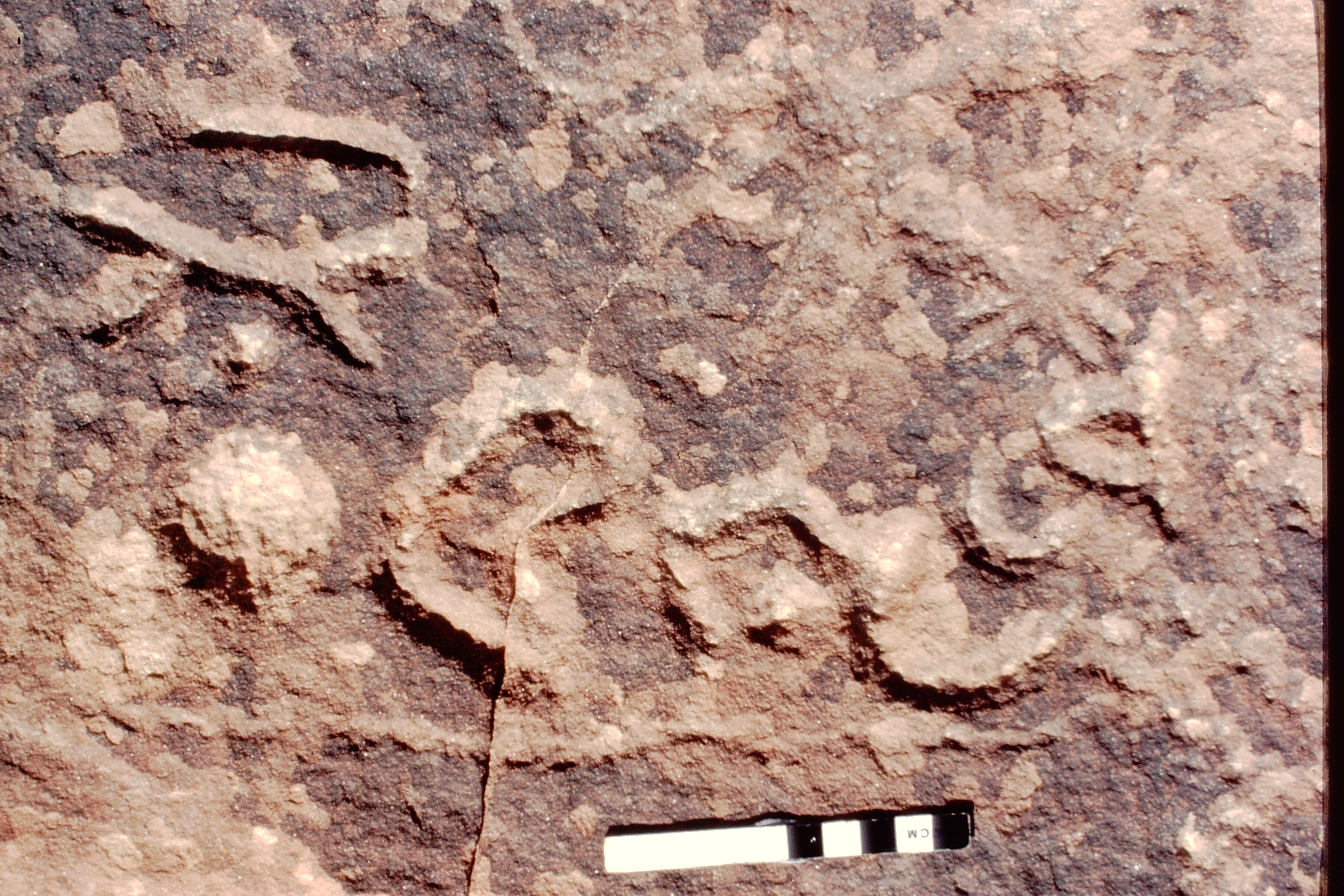 inscription of siglum Jacobson B.5.9