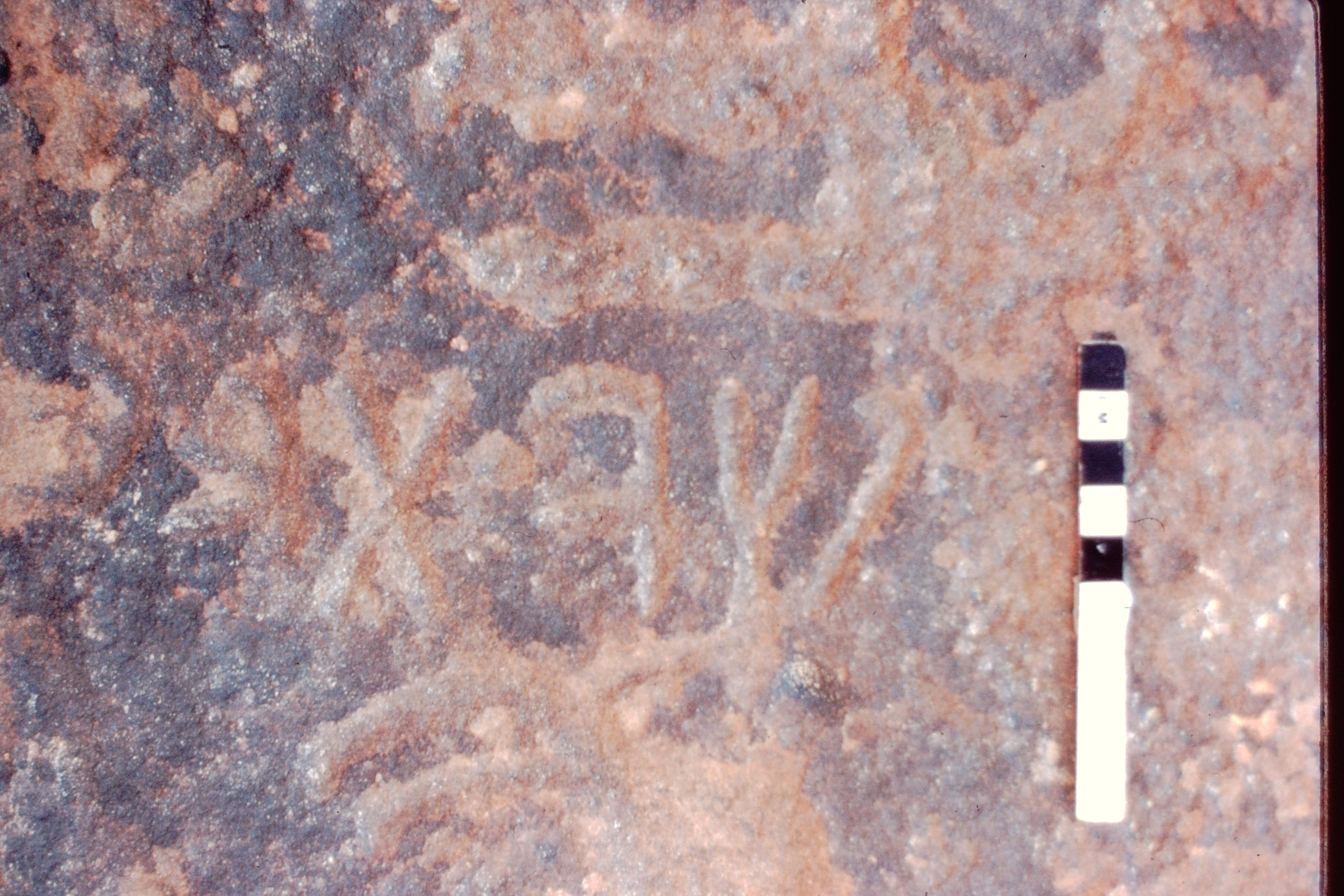 inscription of siglum Jacobson B.7.C.5