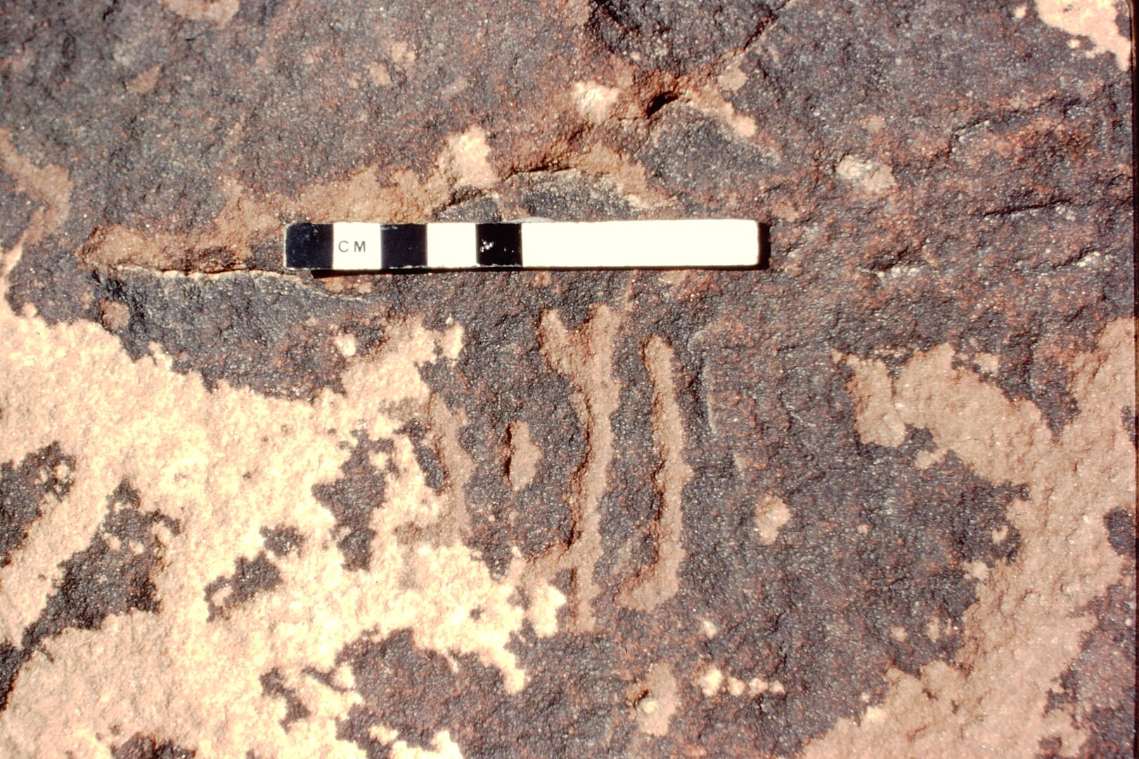 inscription of siglum Jacobson B.7.E.1