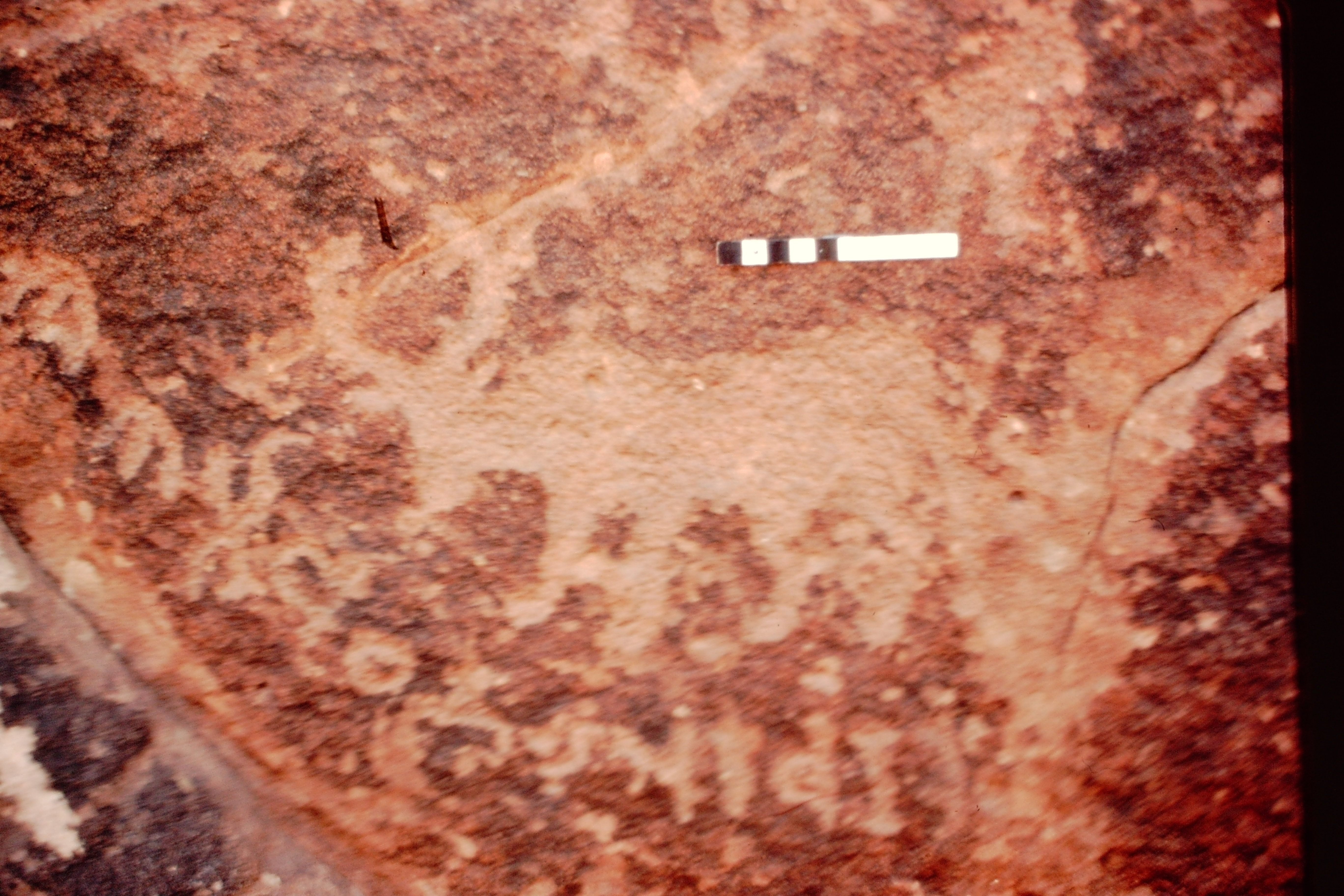 inscription of siglum Jacobson B.7.J.1