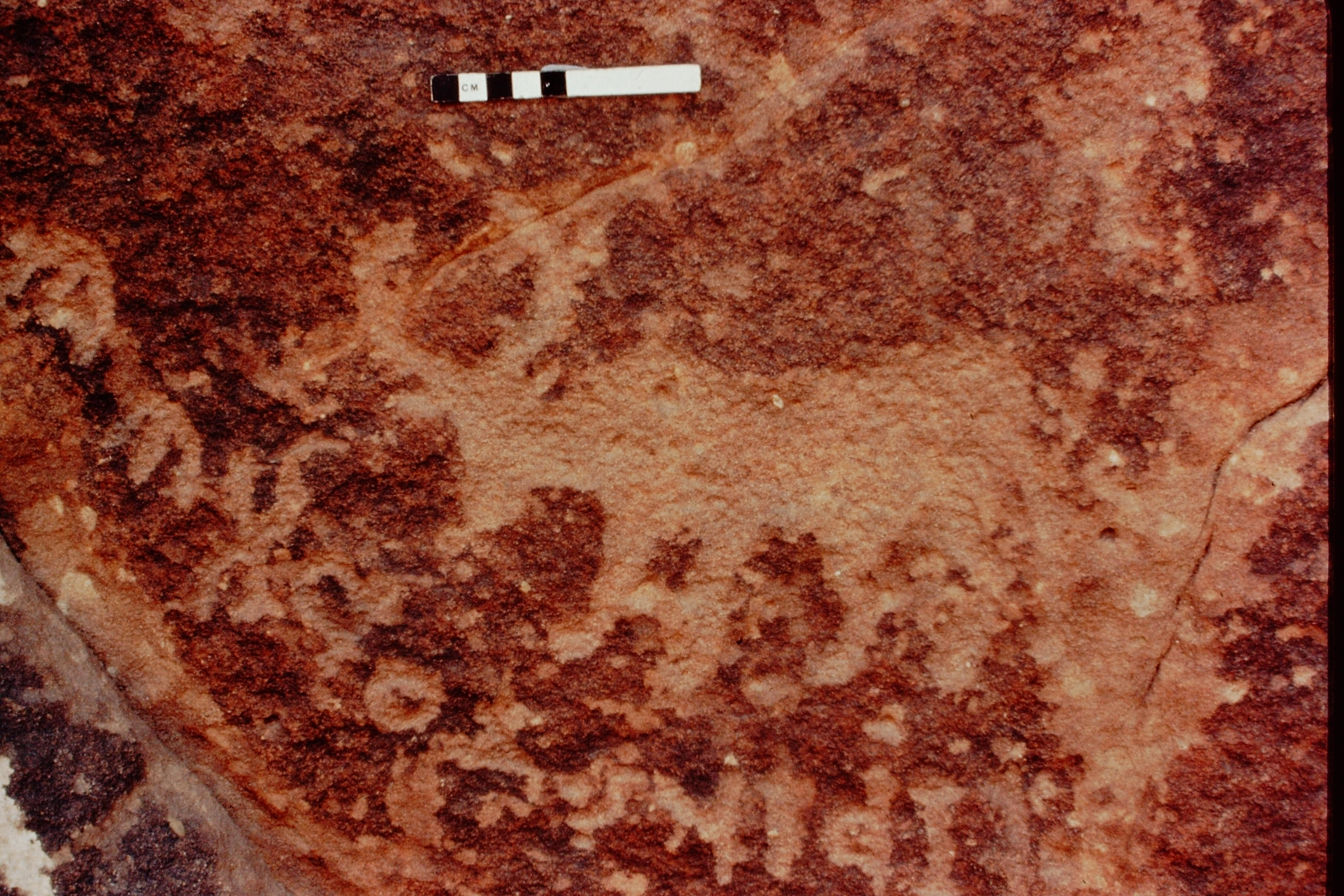 inscription of siglum Jacobson B.7.J.1