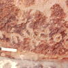 inscription of siglum Jacobson B.7.J.1