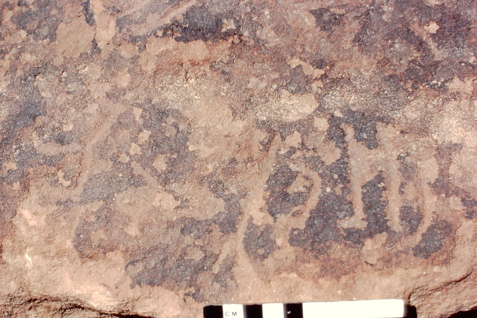 inscription of siglum Jacobson B.7.K.19