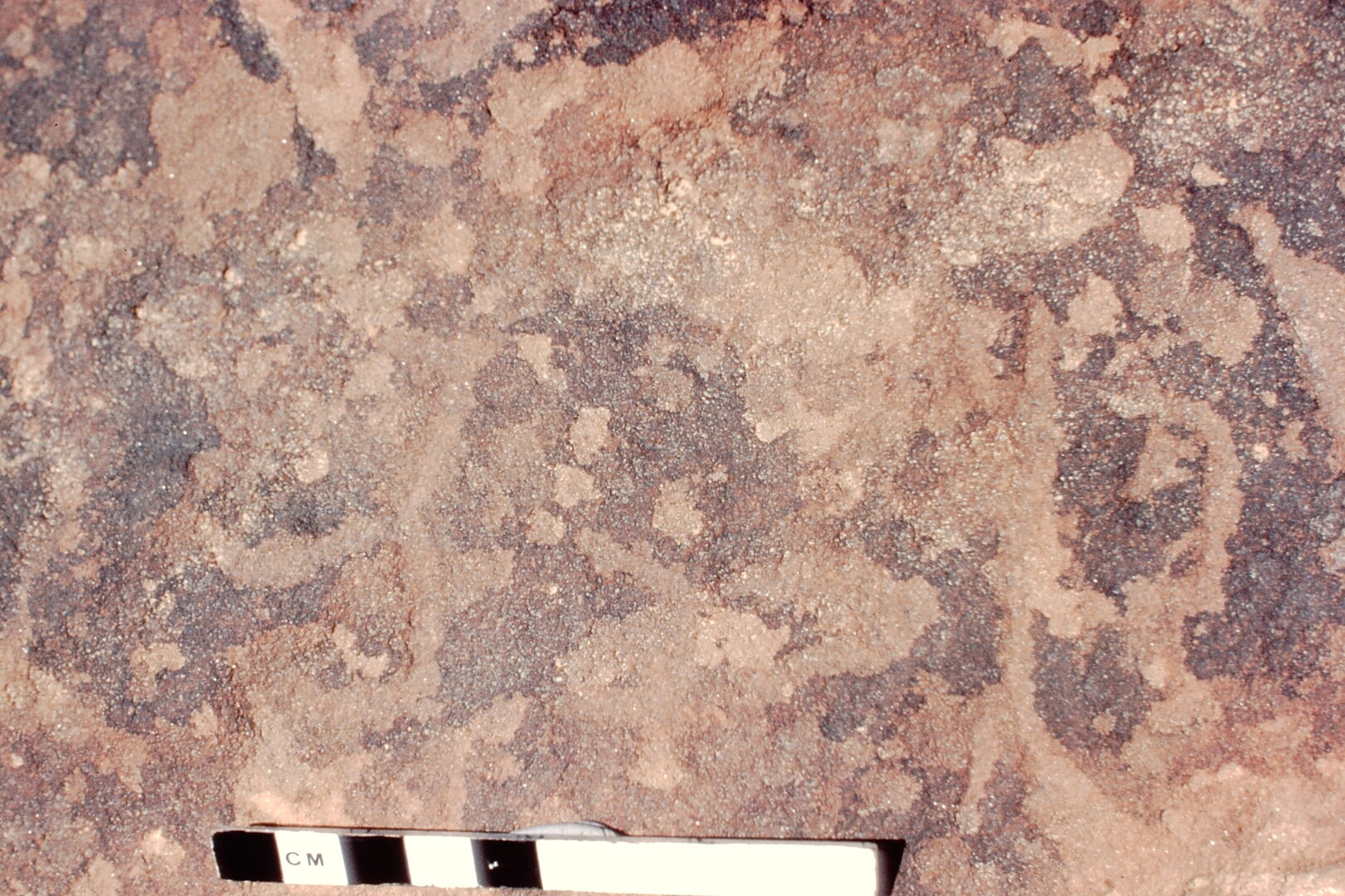 inscription of siglum Jacobson B.7.K.19