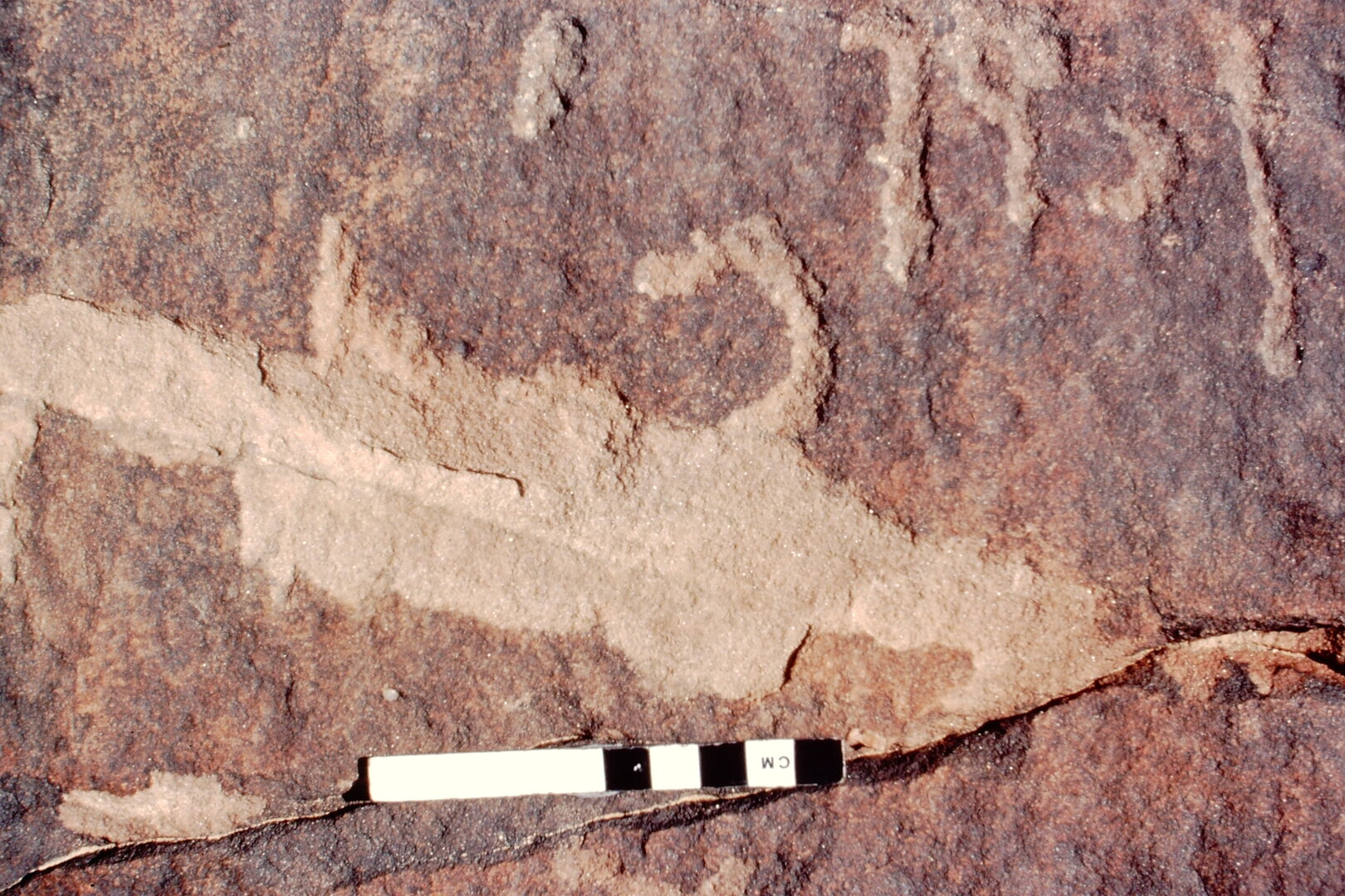 inscription of siglum Jacobson C.1