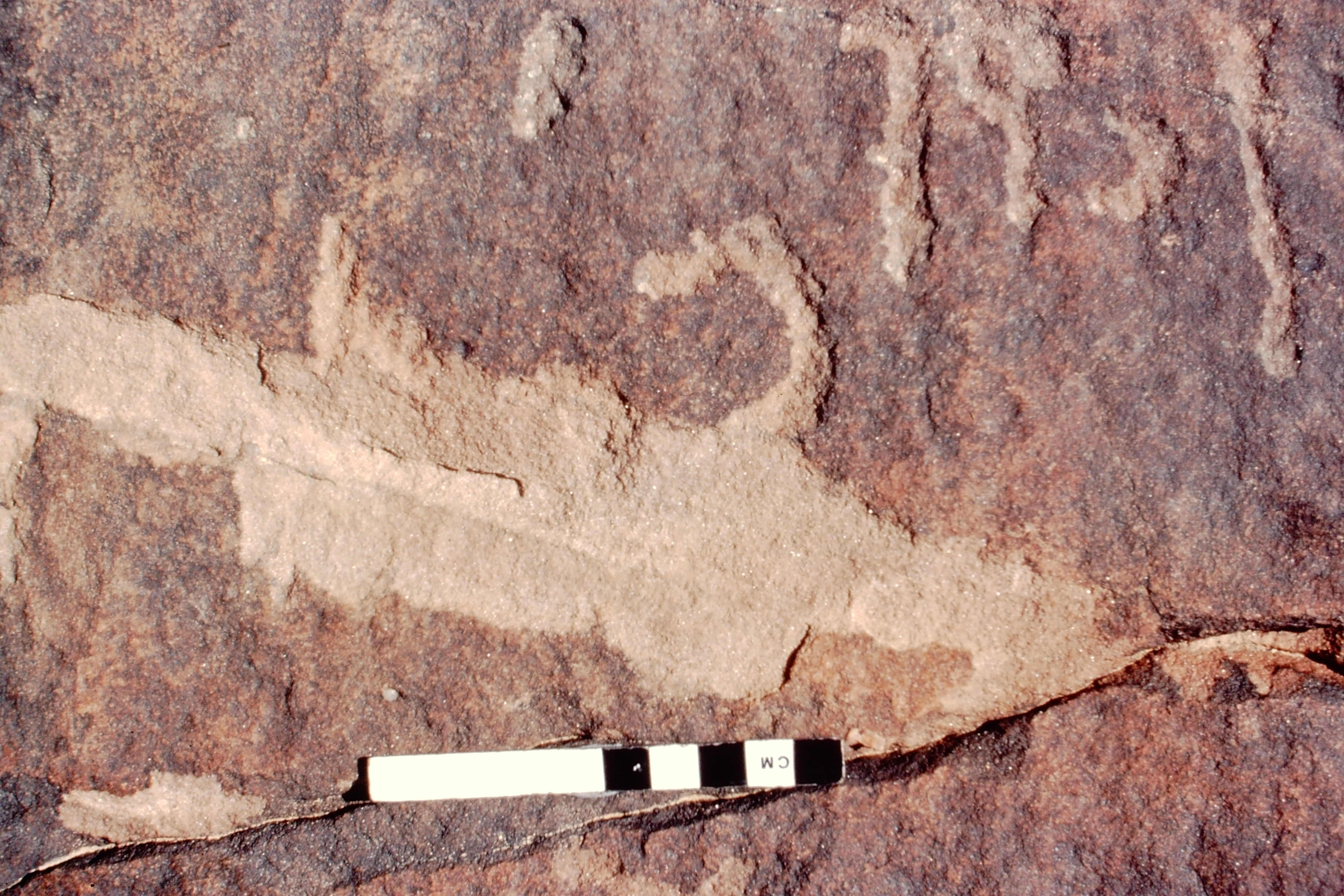 inscription of siglum Jacobson C.1