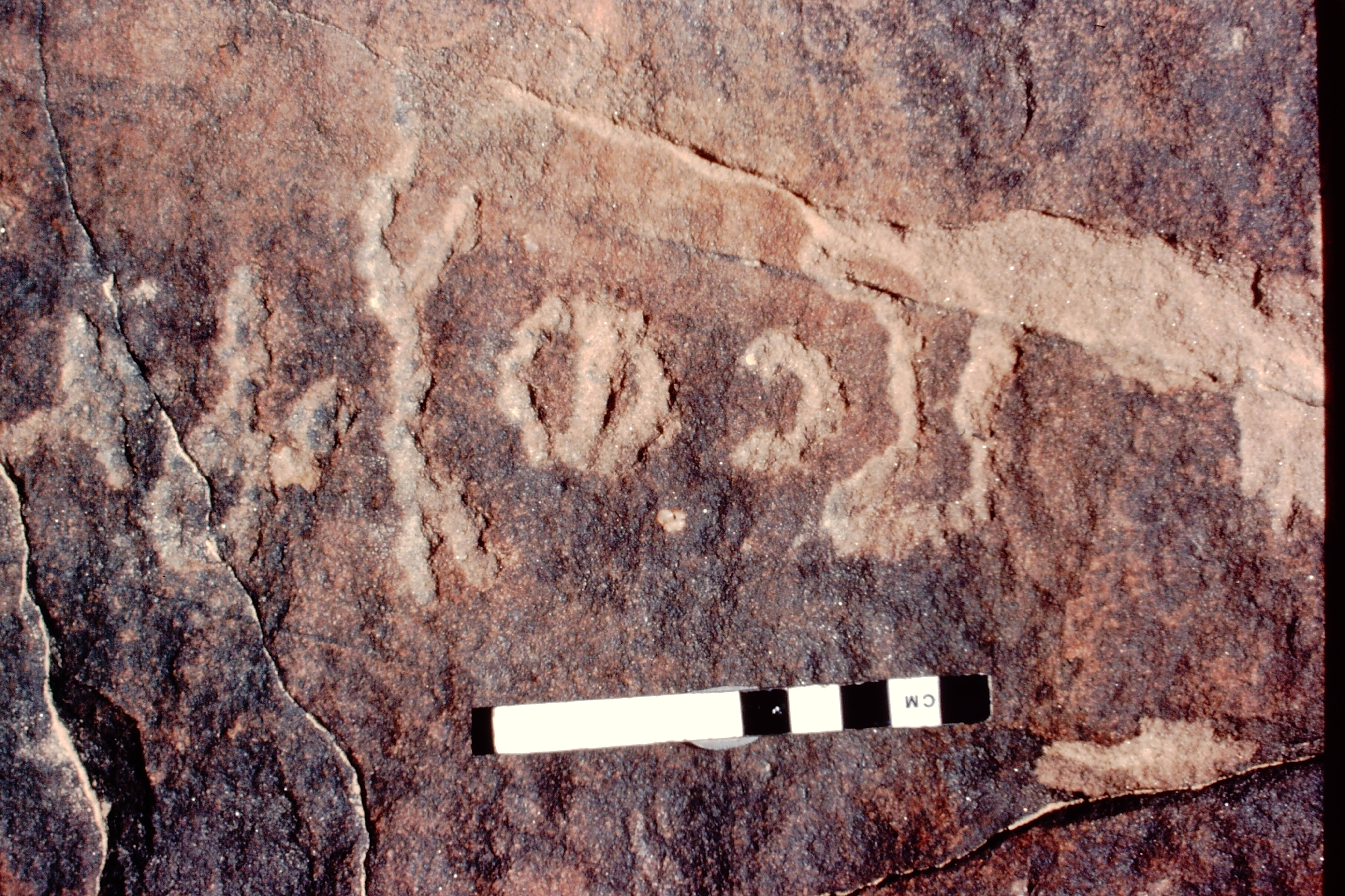 inscription of siglum Jacobson C.1