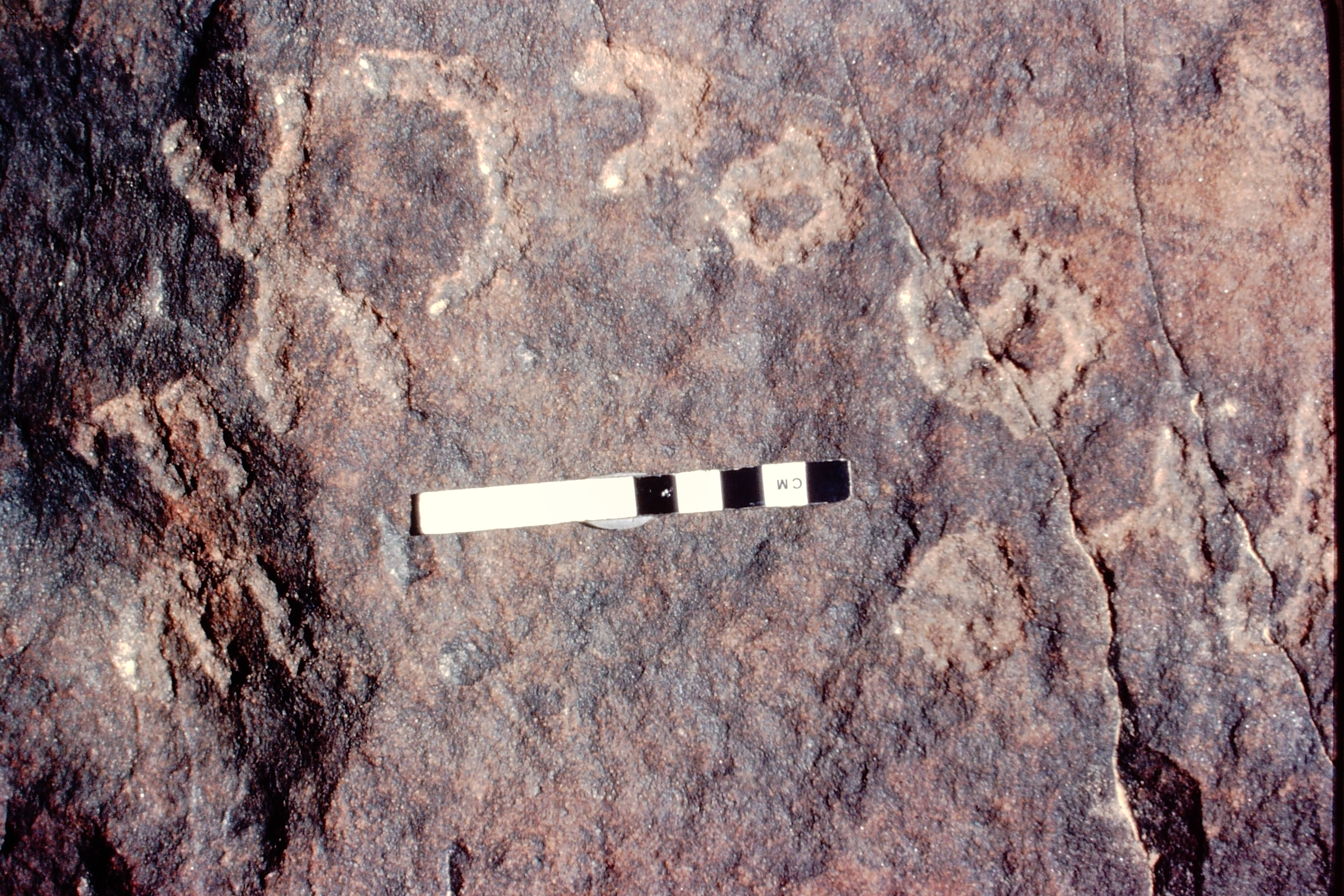 inscription of siglum Jacobson C.1