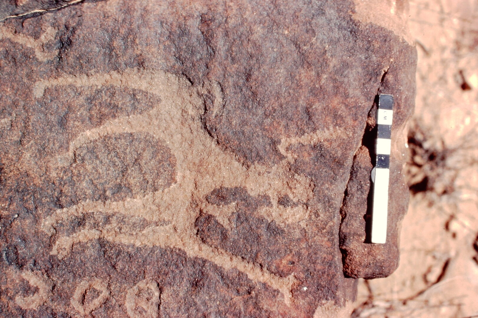 inscription of siglum Jacobson C.2
