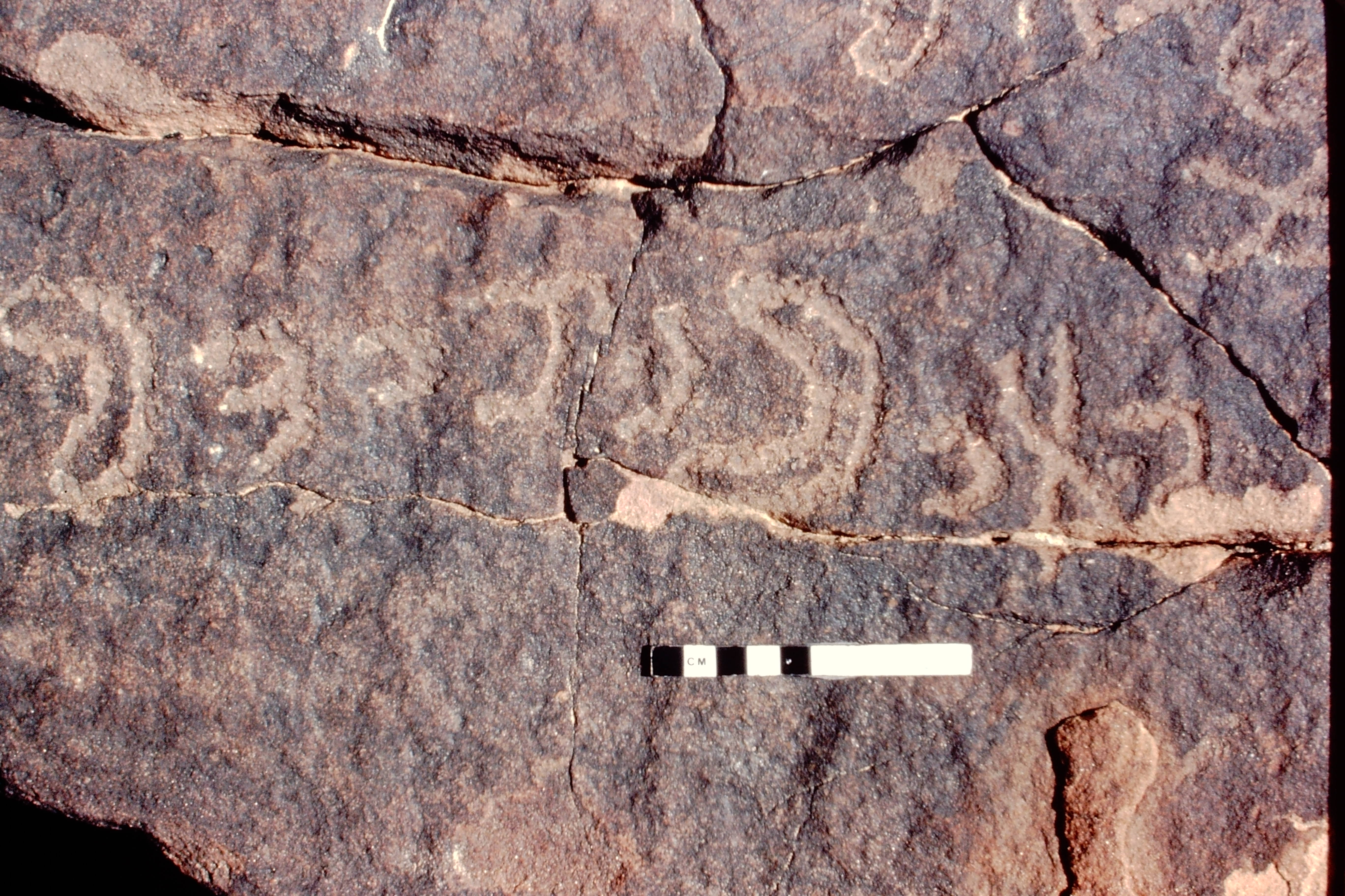 inscription of siglum Jacobson C.4