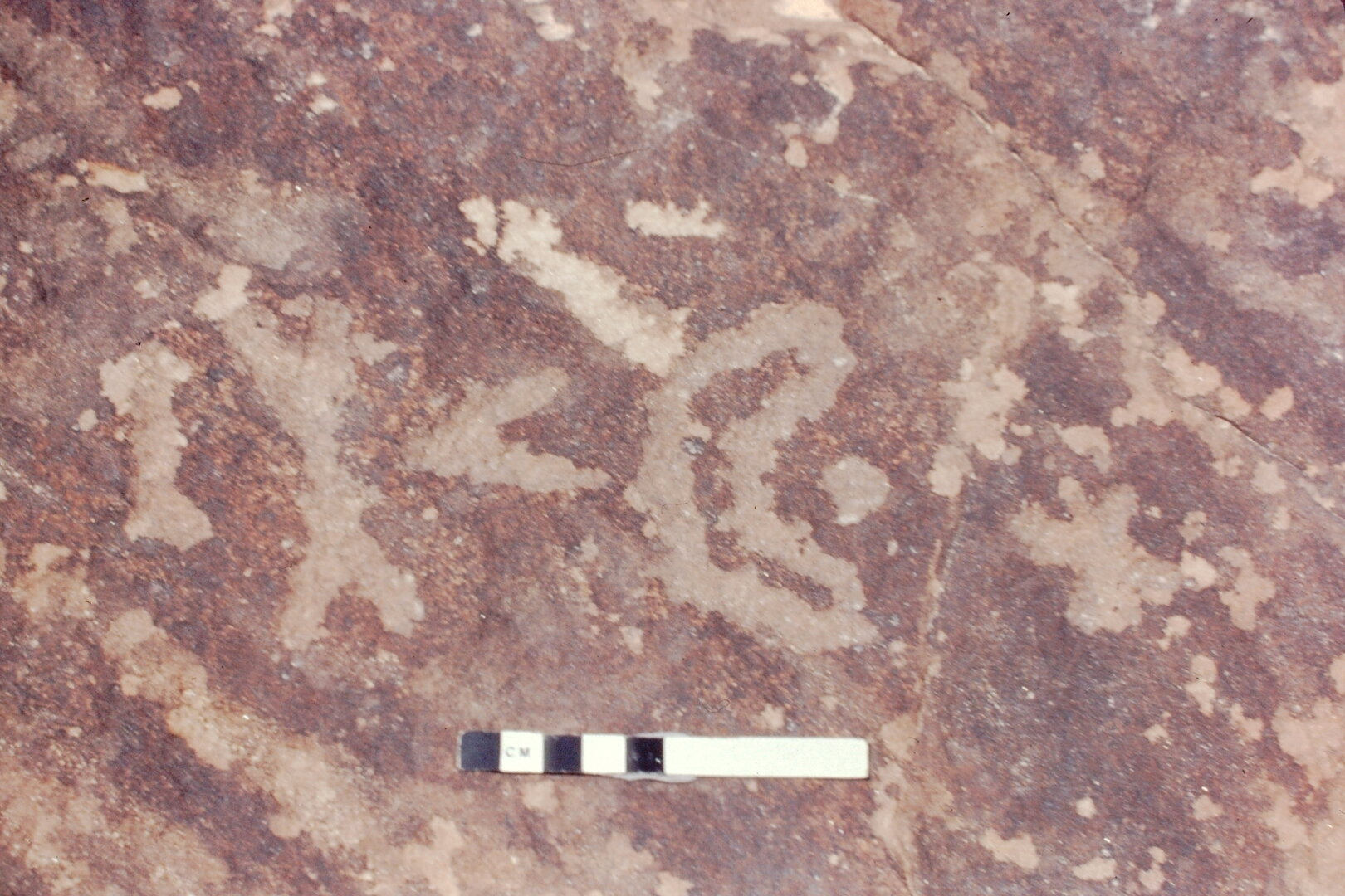 inscription of siglum Jacobson D.14.1